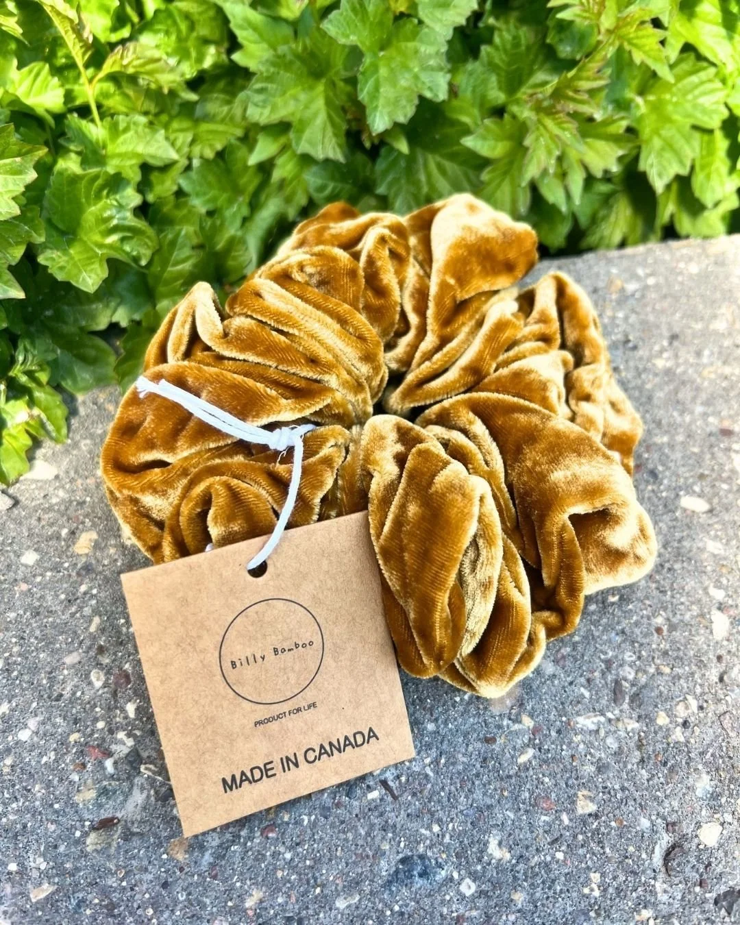Current hair obsession ✨🌱

Silk velvet scrunchies by Billy Bamboo &mdash; soft on your hair, cute on your wrist and made for everyday wear 💚

#SproutHealthMarket 
#BillyBamboo 
#SilkScrunchies 
#SelfCare 
#HealthyHair 
#ShopLocal 
#KimberleyBC