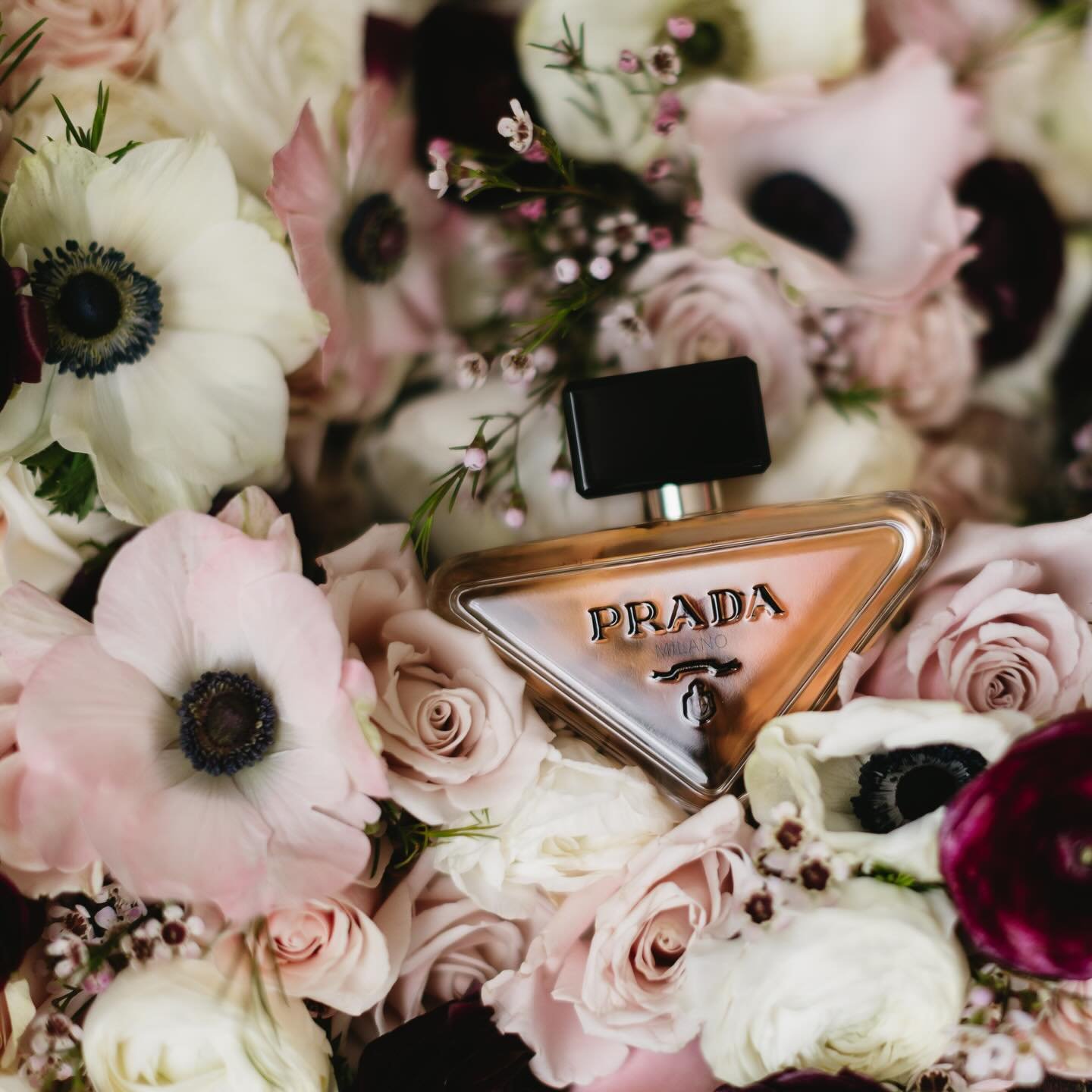 Spring fever 🌸

Florist: @awflowersnj 
@prada 
Couple: @shannonrosegentile @mikeegentile
Venue: @theparksavoy 
Photographer: @jenmarvelphoto
Videographer: @jenmarvelphoto
Makeup: @ginaritacco @ginaritaccomakeupteam
Hair Stylist: @hairstyledby_k
Invi