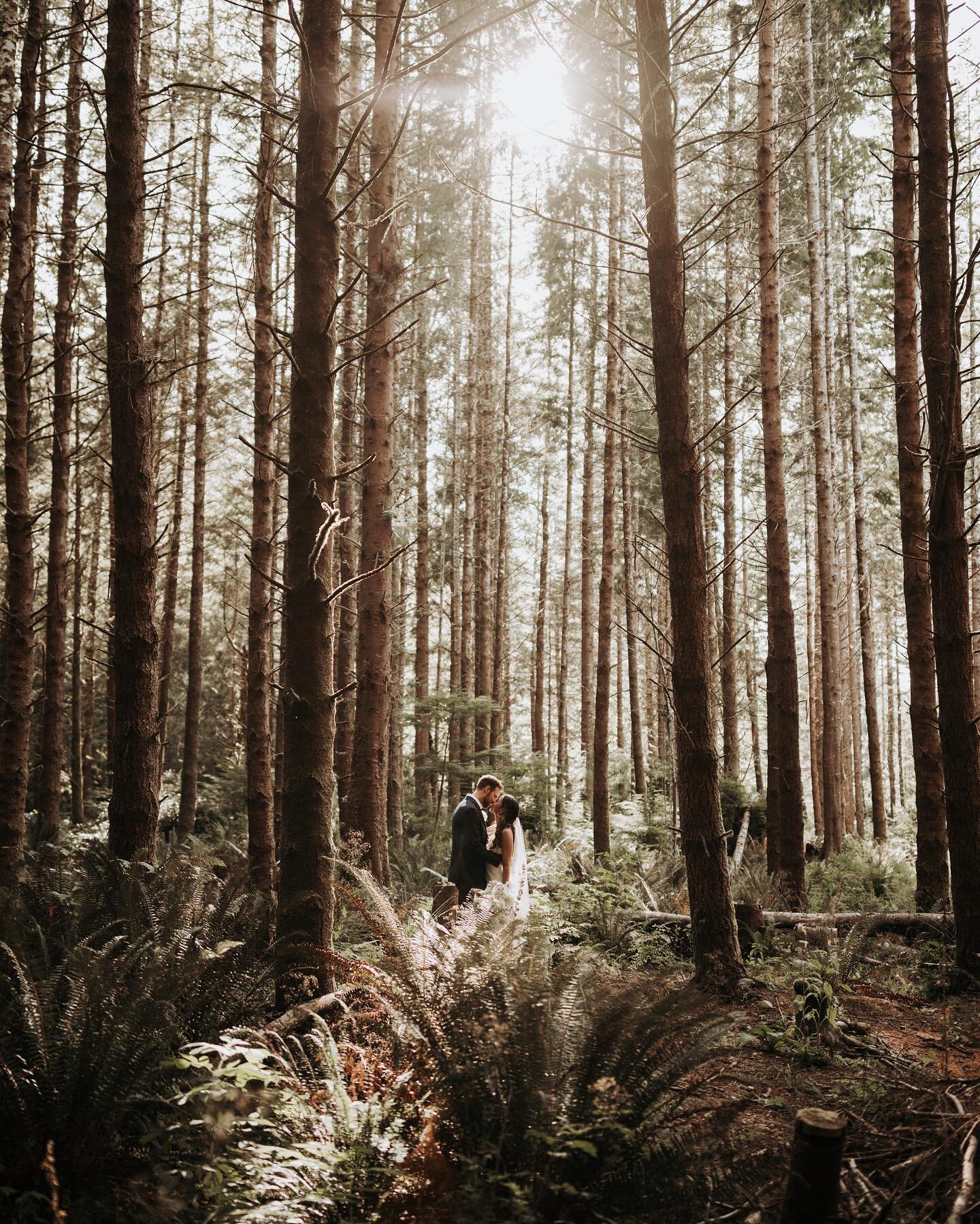 Have you ever thought of eloping? @thevowcabin offers an amazing experience in beautiful Jordan River, BC. I am excited to say that I will be there on select dates in July, September, and October! Contact @thevowcabin for the details :)))