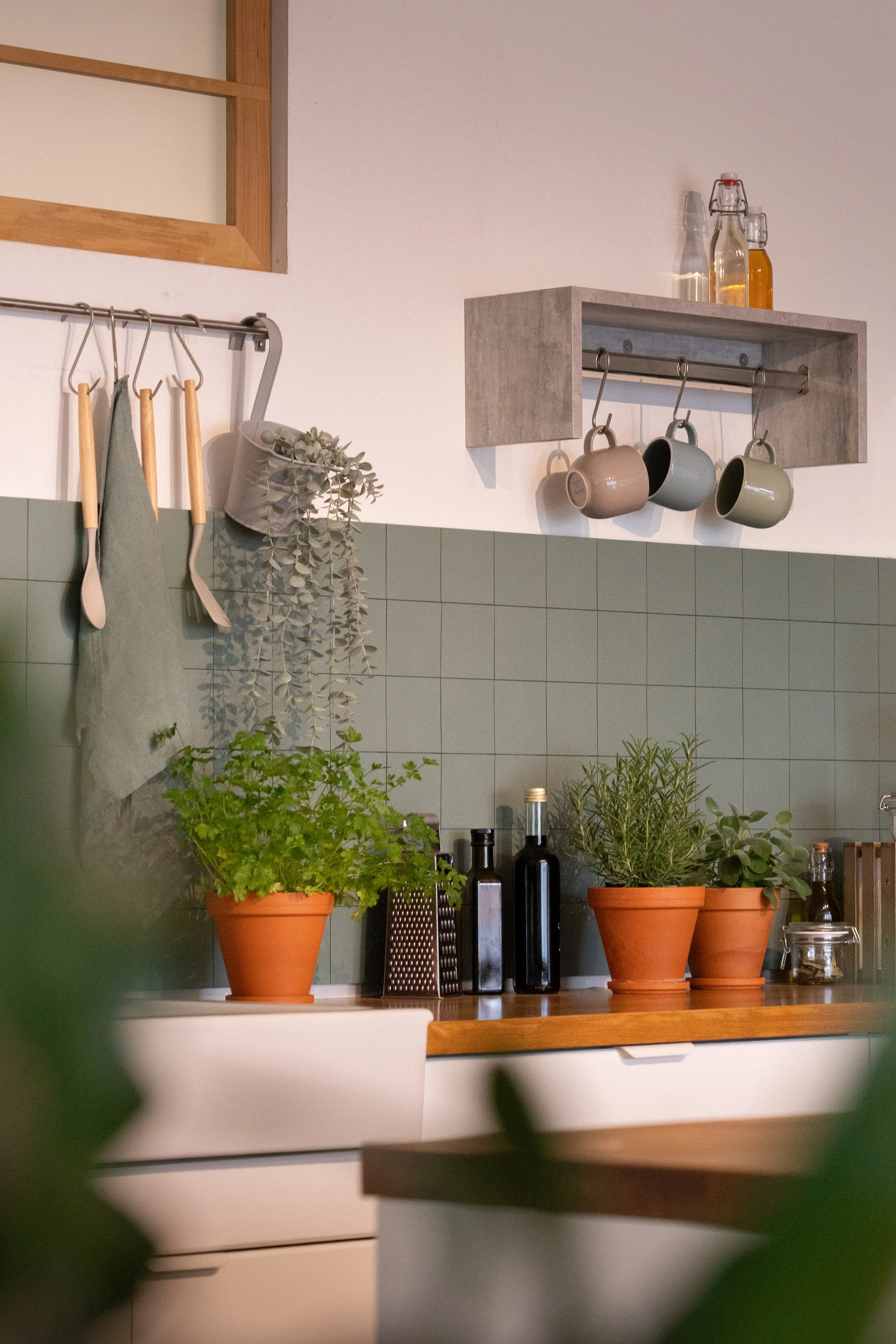 Küchenregal mit Kaffeetassen, Gläsern, Pflanzen, Olivenölflaschen und verschiedenen Küchenutensilien in einer modernen Küche.