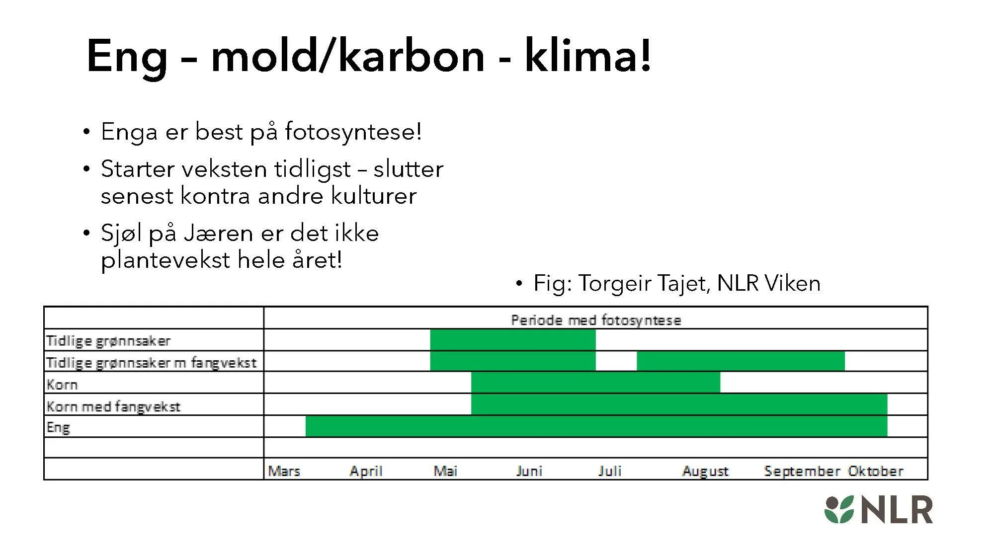 16.30 Den fantastiske enga! Kari Bysveen_Side_14.jpg