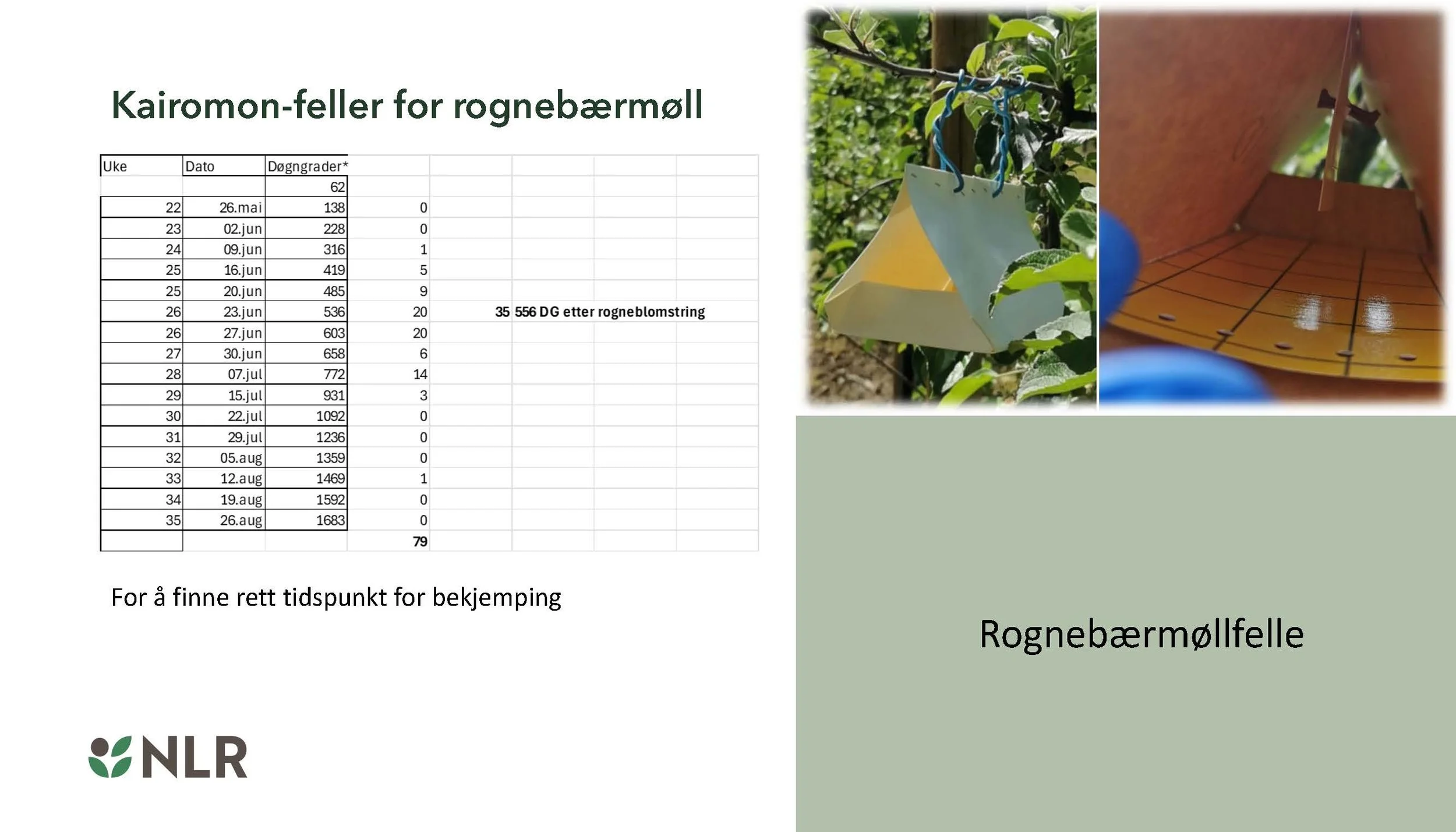 11 00 Bruk av biologiske tiltak og turex for best mulig effekt Gaute Myren NLR_Side_12.jpg