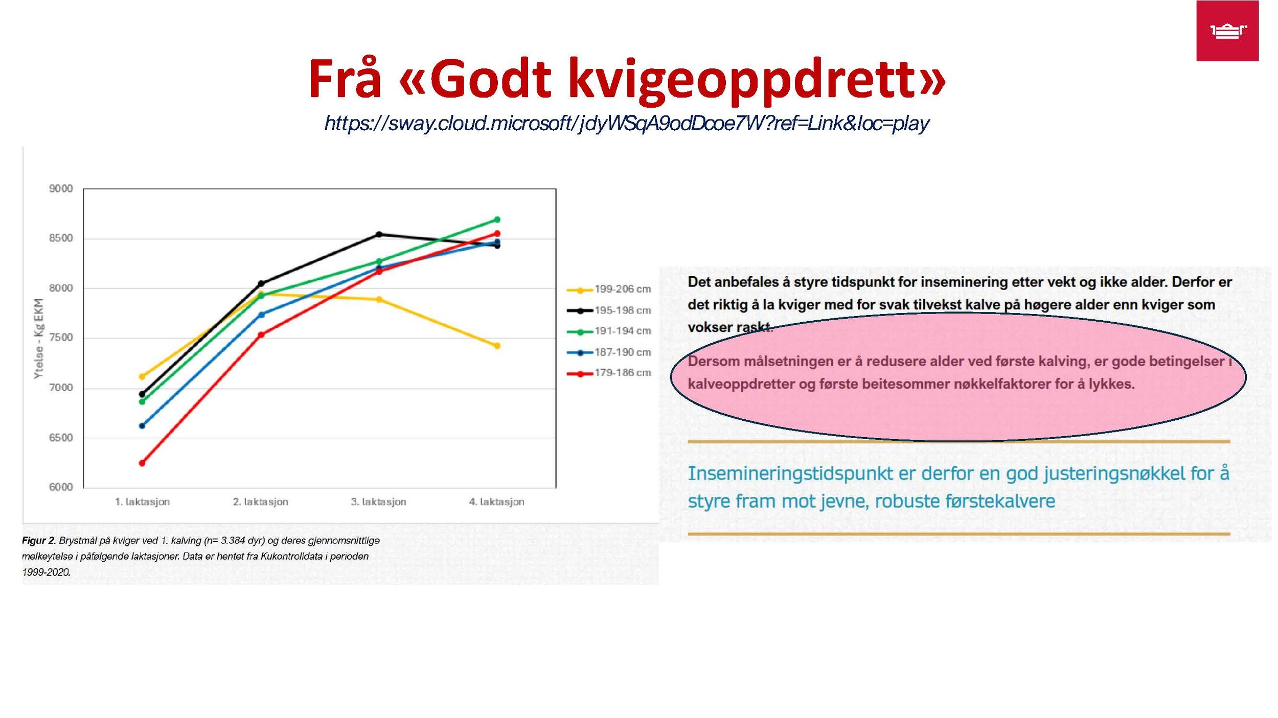12.30 Frå nyfødt til vaksen Randi T. Garnmo_Side_10.jpg