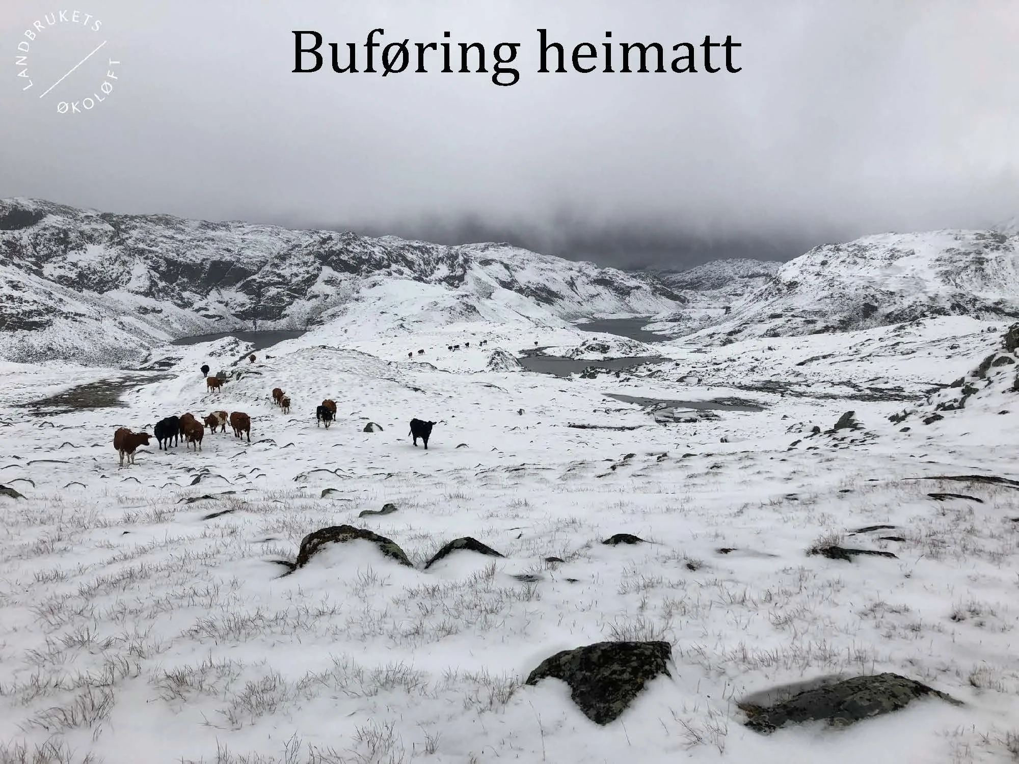 11.20 (2) Turid Vange Spydspiss_Side_08.jpg