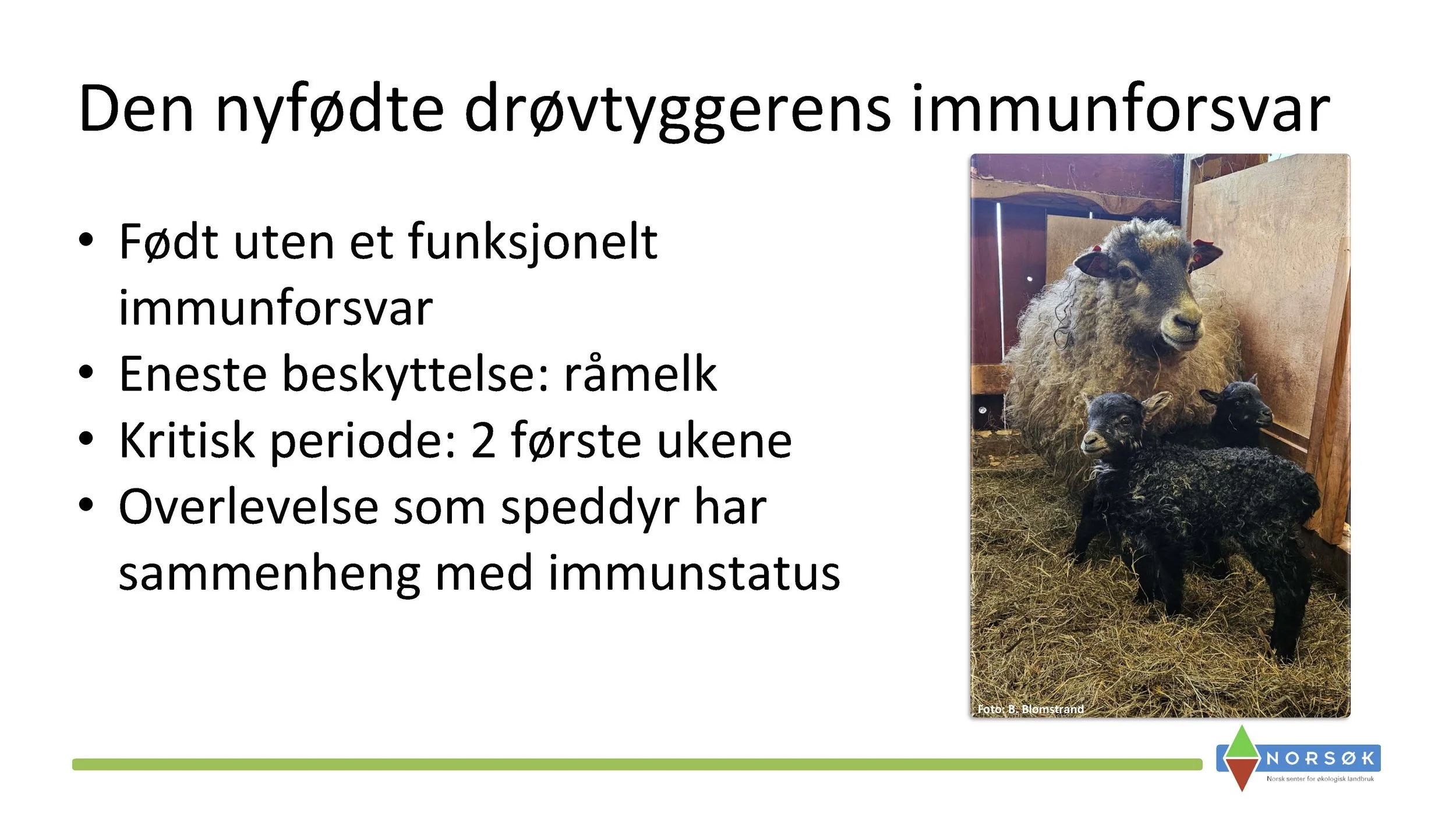 12.50 Berit Blomstrand_råmelkas betydning_Side_02.jpg