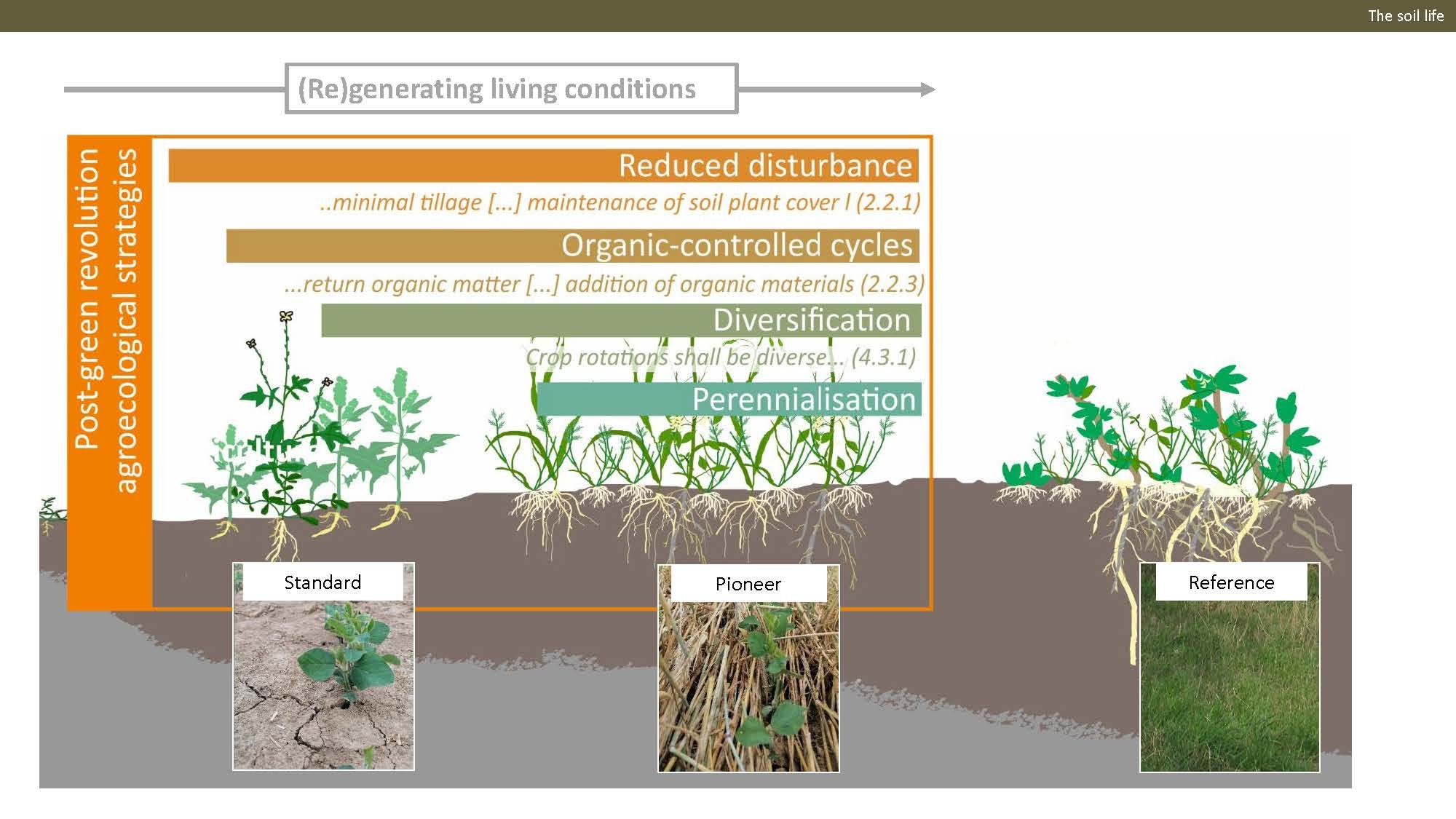 Norway presentation Final 1_Side_59.jpg
