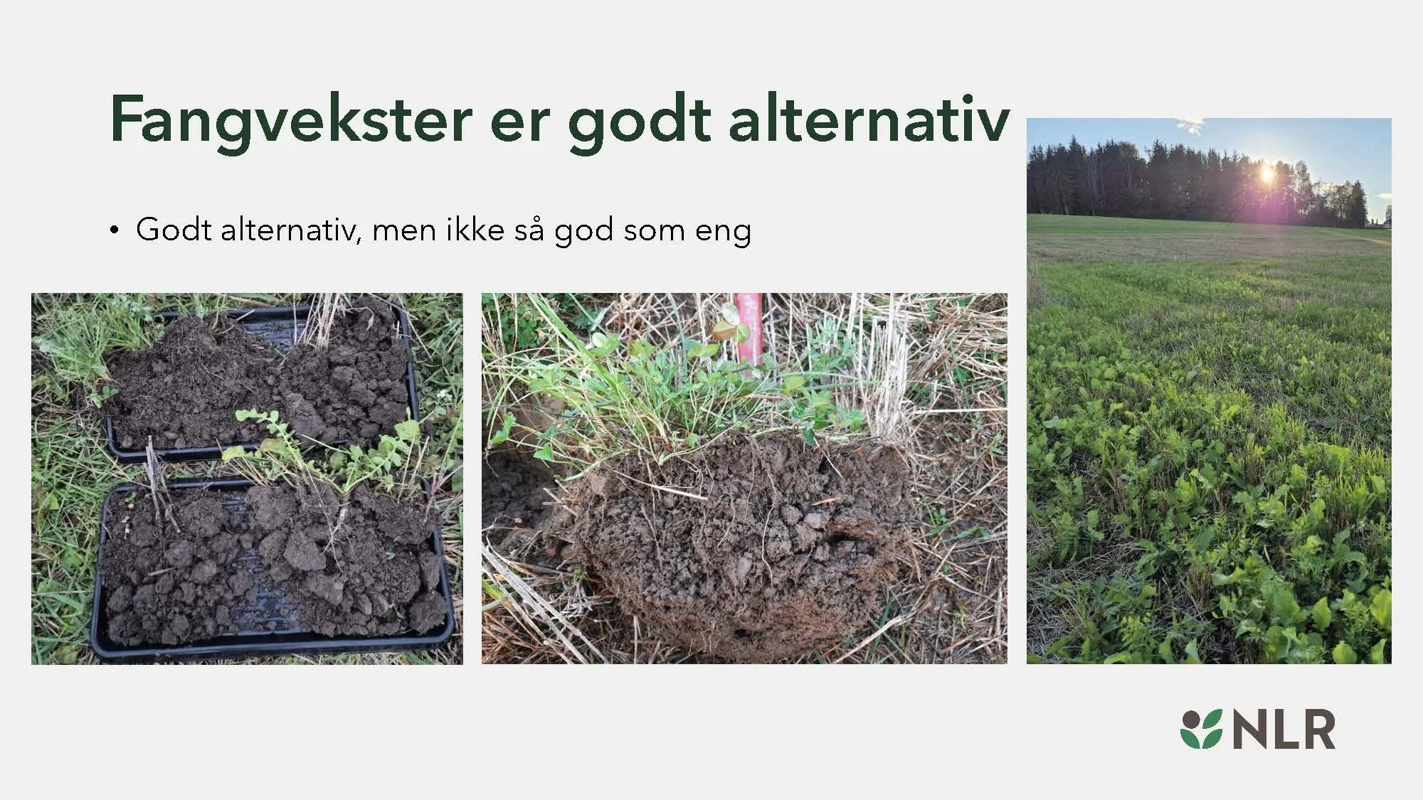 16.30 Den fantastiske enga! Kari Bysveen_Side_28.jpg