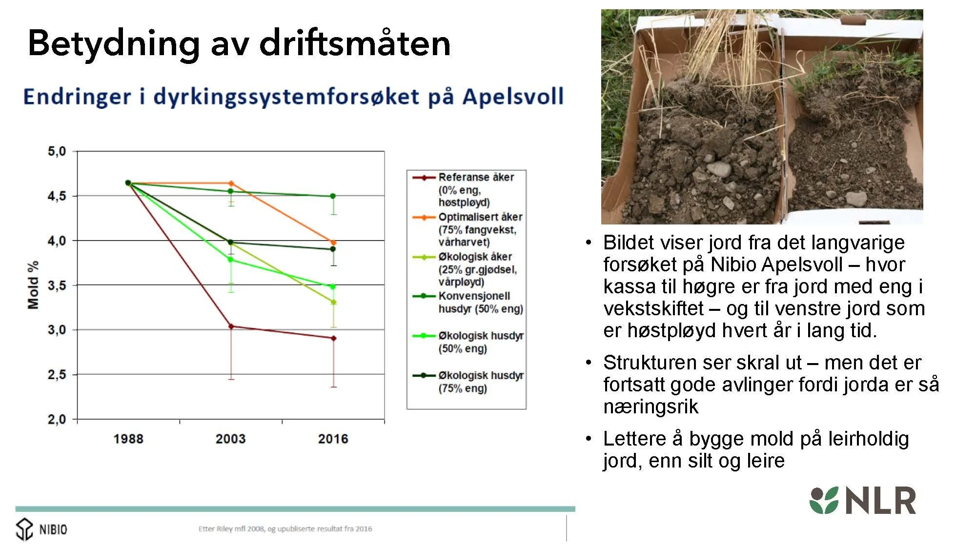 16.30 Den fantastiske enga! Kari Bysveen_Side_17.jpg