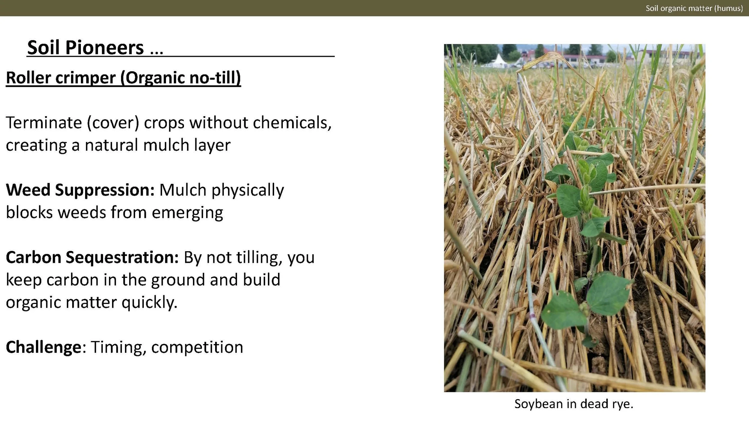 Norway presentation Final 1_Side_45.jpg