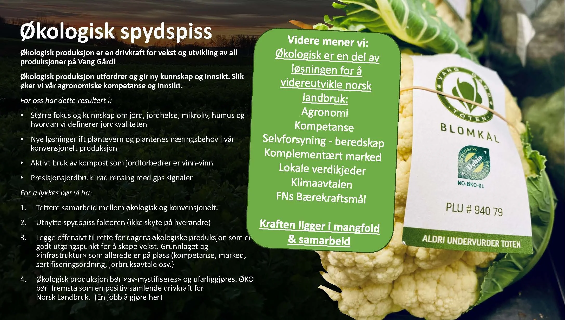 11.20 (1) Camilla Rostad Spydspiss_Side_09.jpg