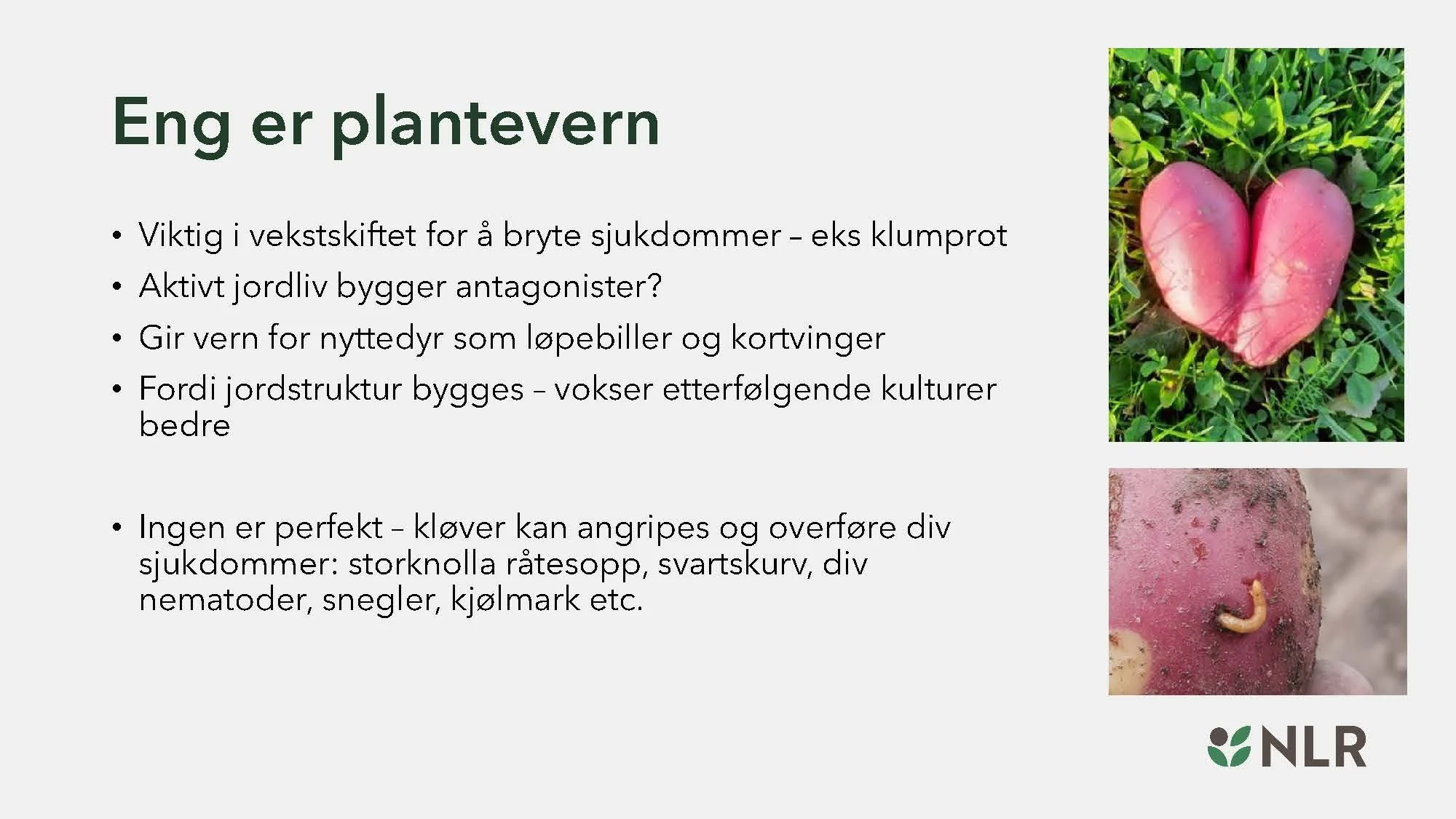 16.30 Den fantastiske enga! Kari Bysveen_Side_08.jpg