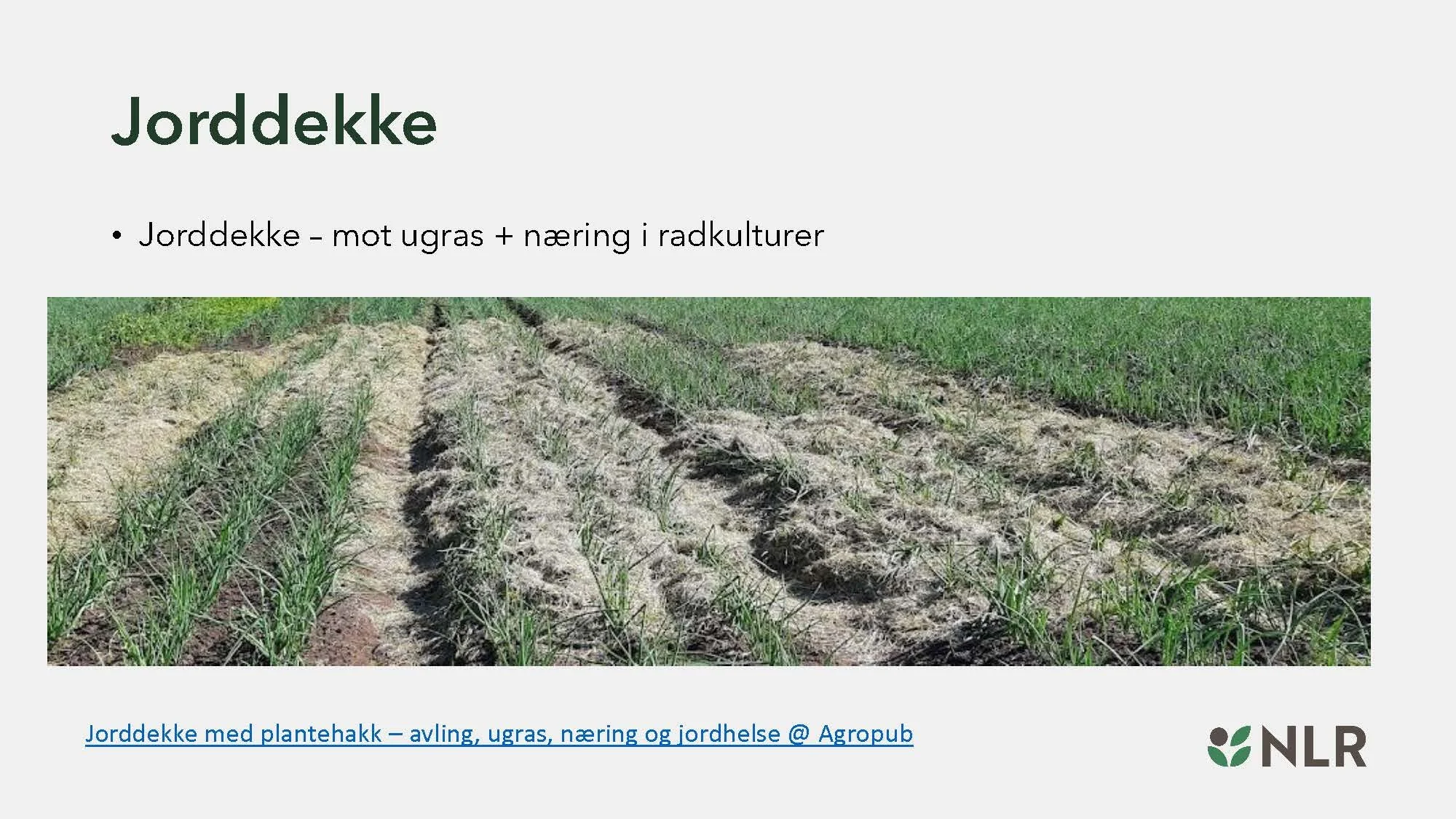 16.30 Den fantastiske enga! Kari Bysveen_Side_23.jpg