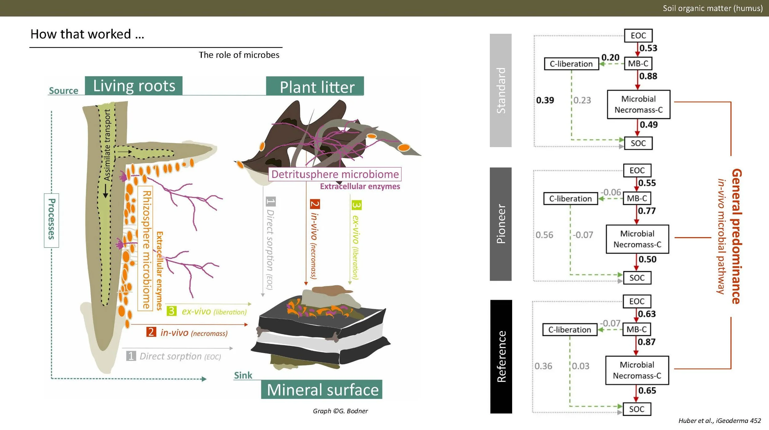 Norway presentation Final 1_Side_51.jpg