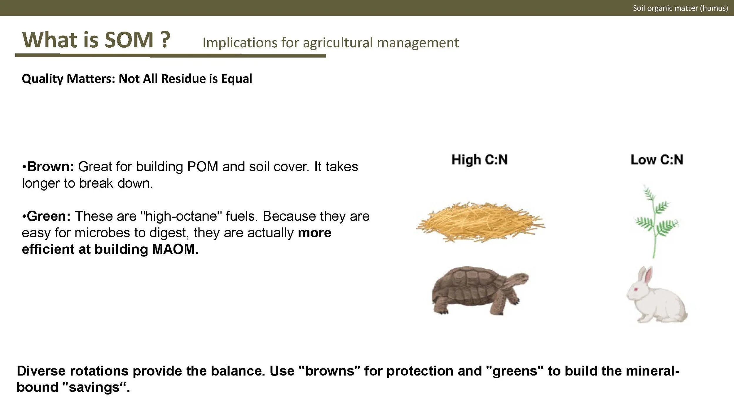 Norway presentation Final 1_Side_31.jpg