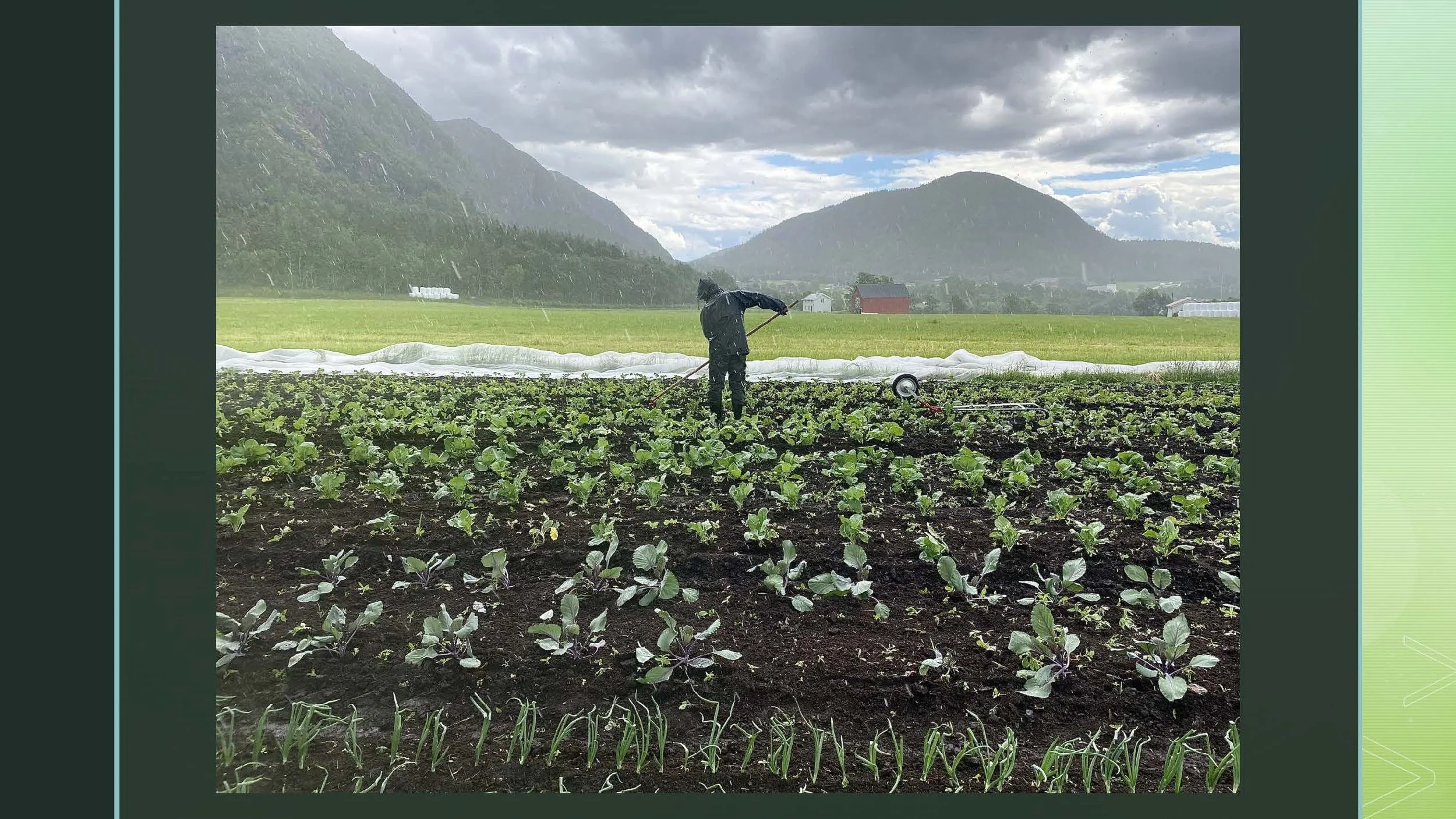 09 45 Åkerbruk Dun Gård, Jøa_Side_22.jpg