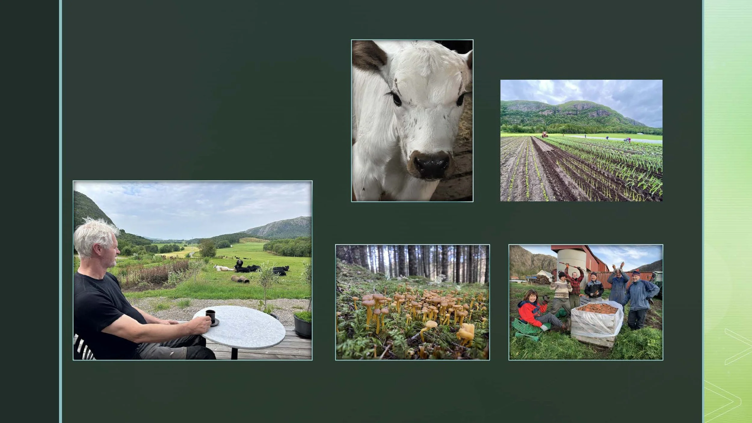 09 45 Åkerbruk Dun Gård, Jøa_Side_36.jpg