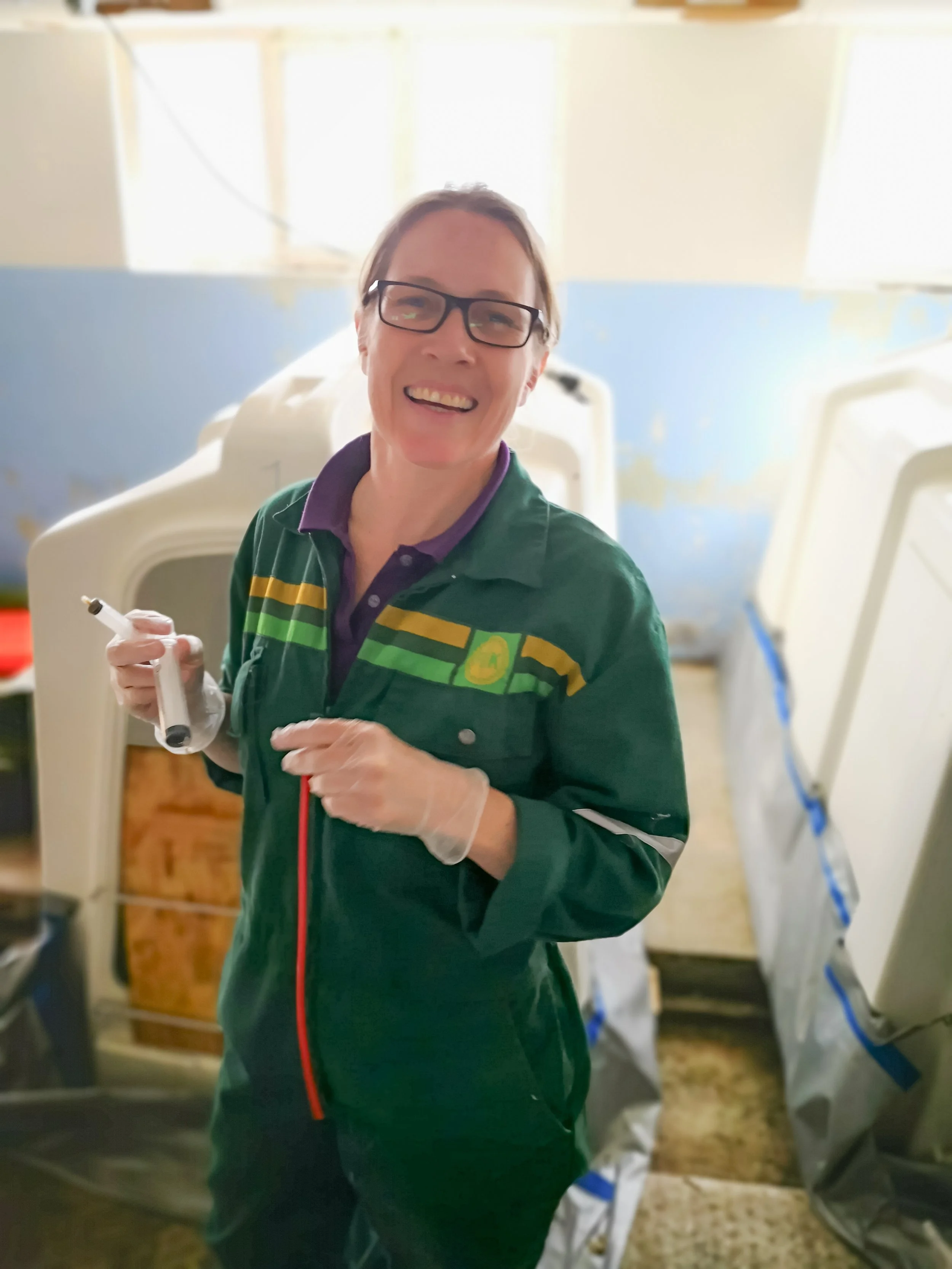 HeltRå: Råmelkens betydning og kvalitet for alle spedyr spesielt på sau, men også storfe. Veterinær Berit Blomstrand(NORSØK)