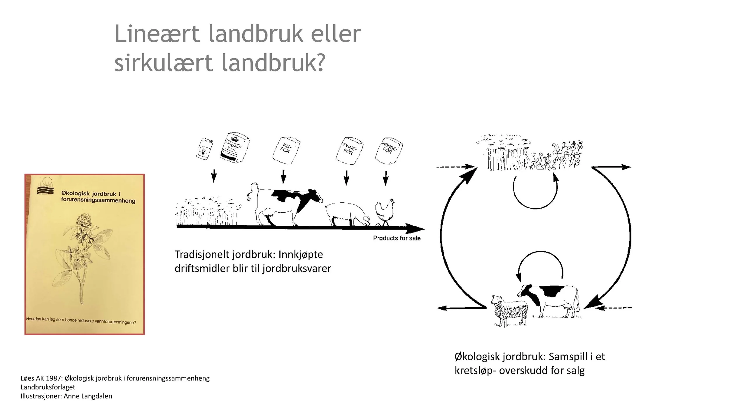 11.05 Anne Kristin Løes Økolandbruket beredskap og bærekraft-1_Side_08.jpg
