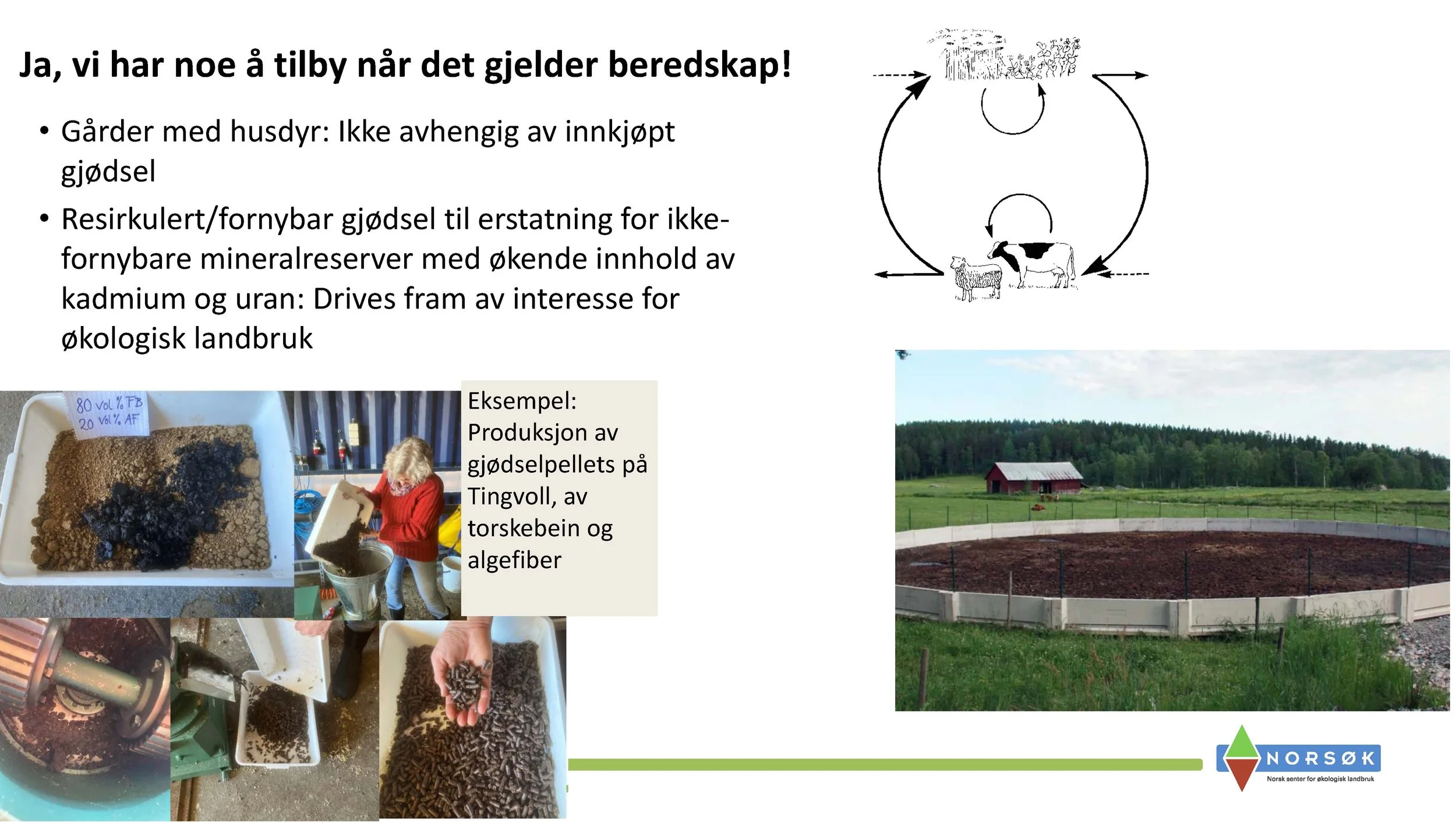 11.05 Anne Kristin Løes Økolandbruket beredskap og bærekraft-1_Side_10.jpg