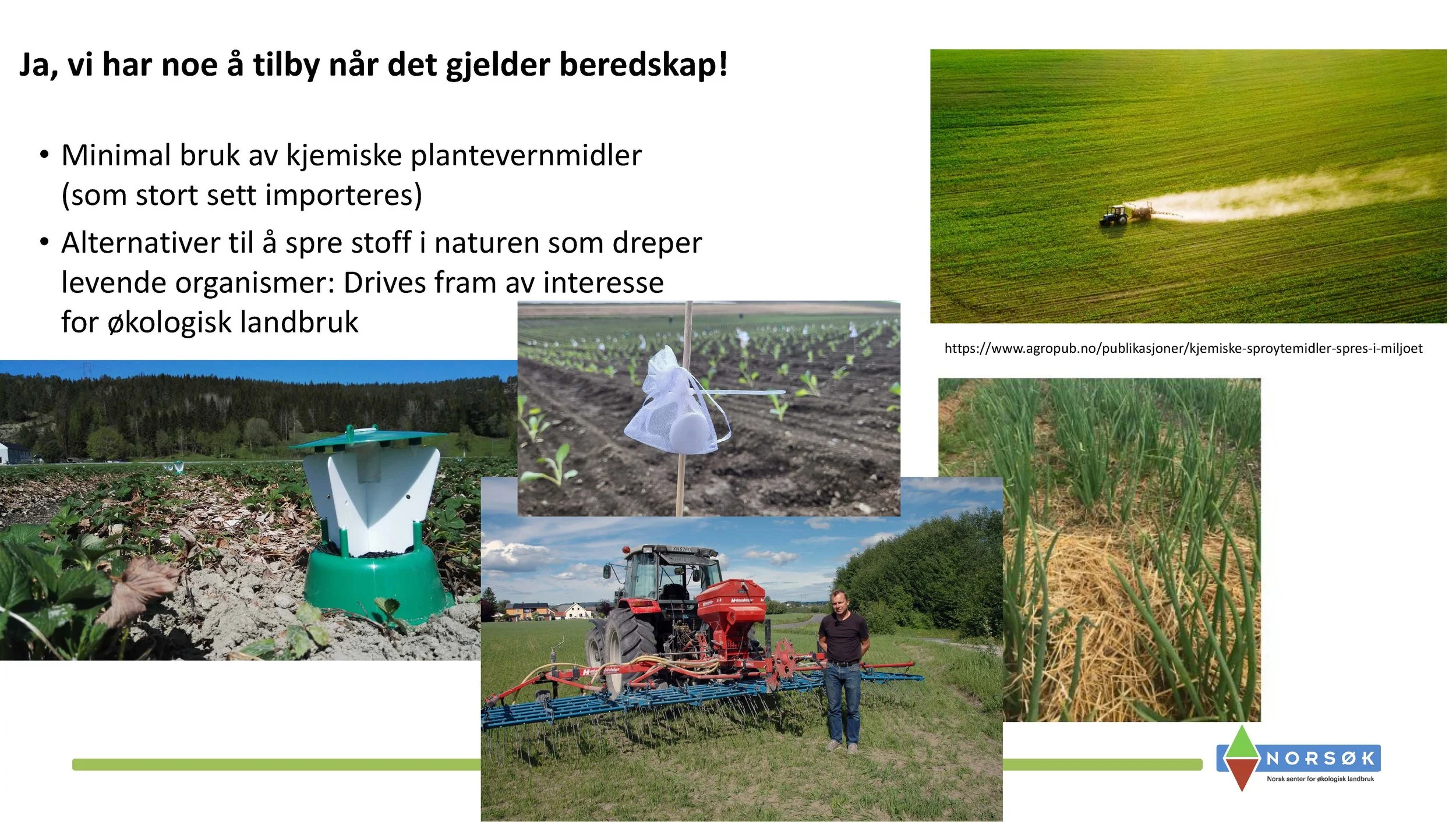 11.05 Anne Kristin Løes Økolandbruket beredskap og bærekraft-1_Side_11.jpg