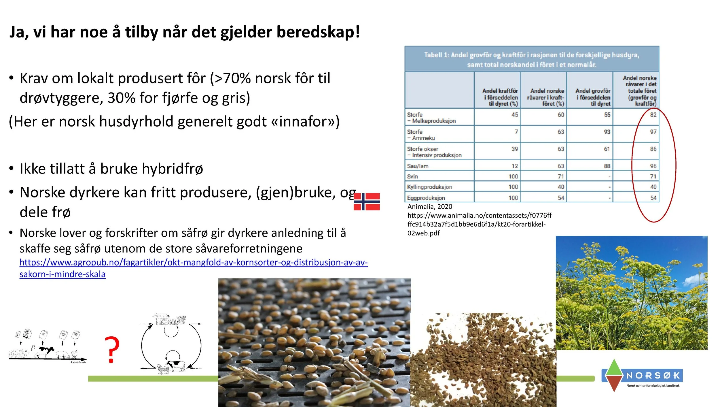 11.05 Anne Kristin Løes Økolandbruket beredskap og bærekraft-1_Side_12.jpg