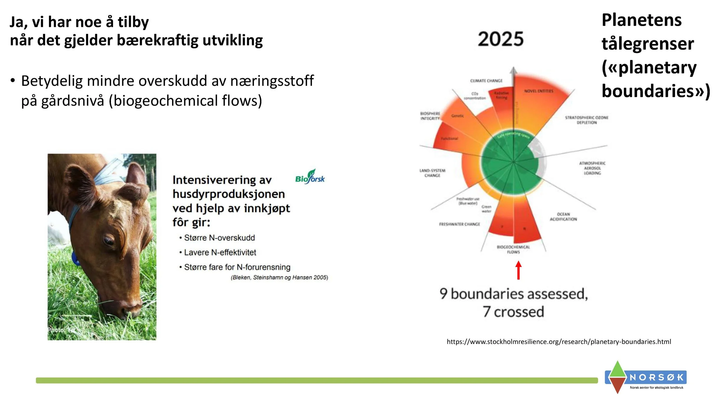 11.05 Anne Kristin Løes Økolandbruket beredskap og bærekraft-1_Side_13.jpg