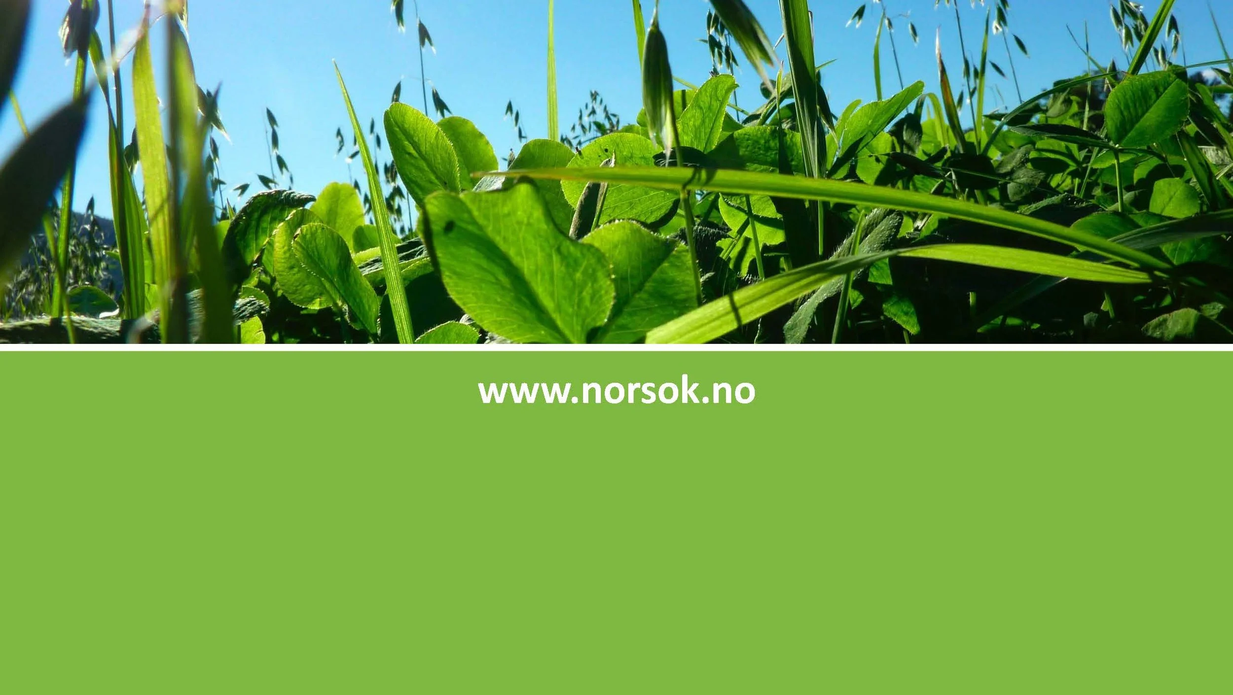 11.05 Anne Kristin Løes Økolandbruket beredskap og bærekraft-1_Side_18.jpg