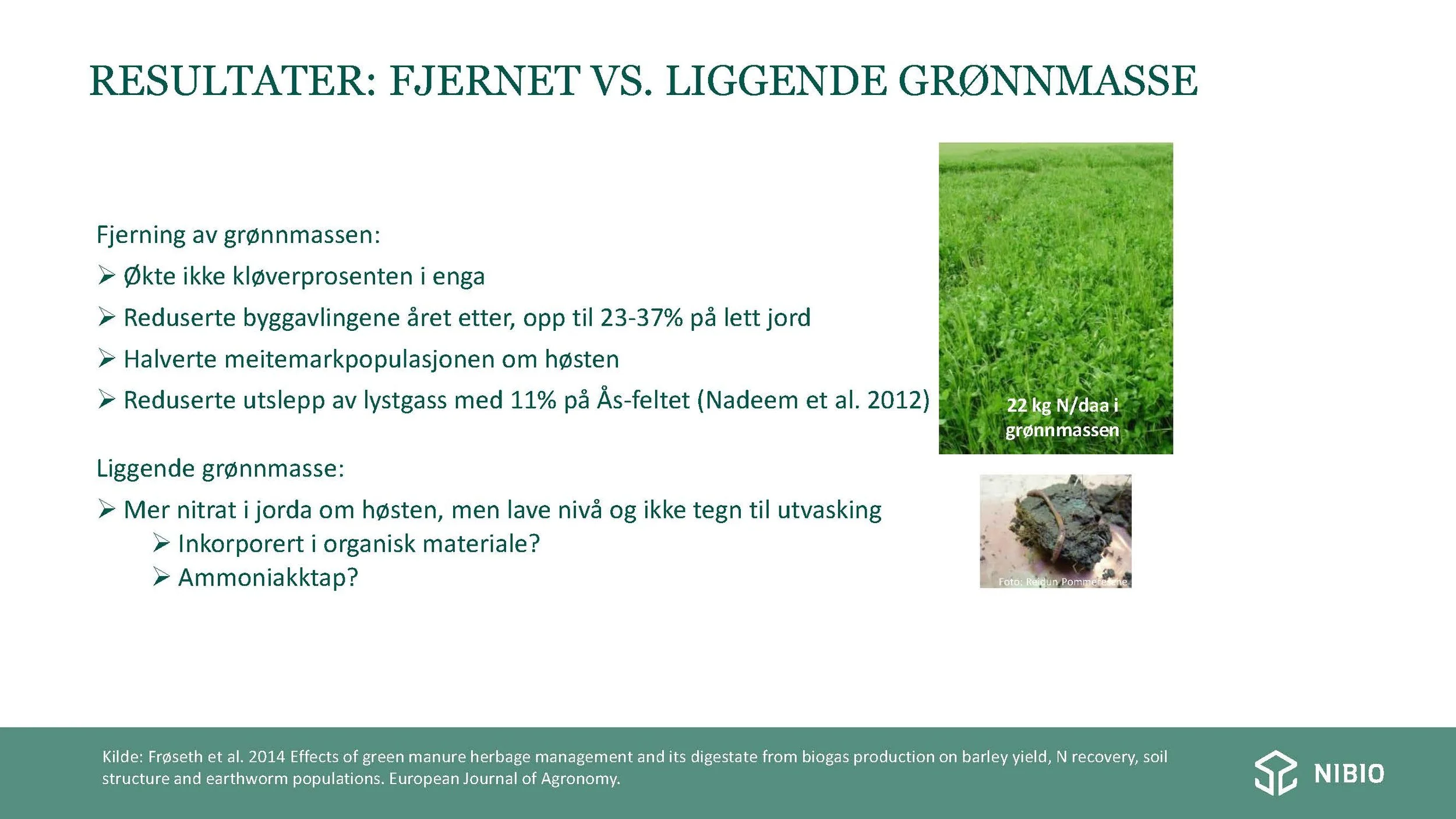 12 30 Åkerbruk Nitrogendynamikk Randi Berland_Side_17.jpg