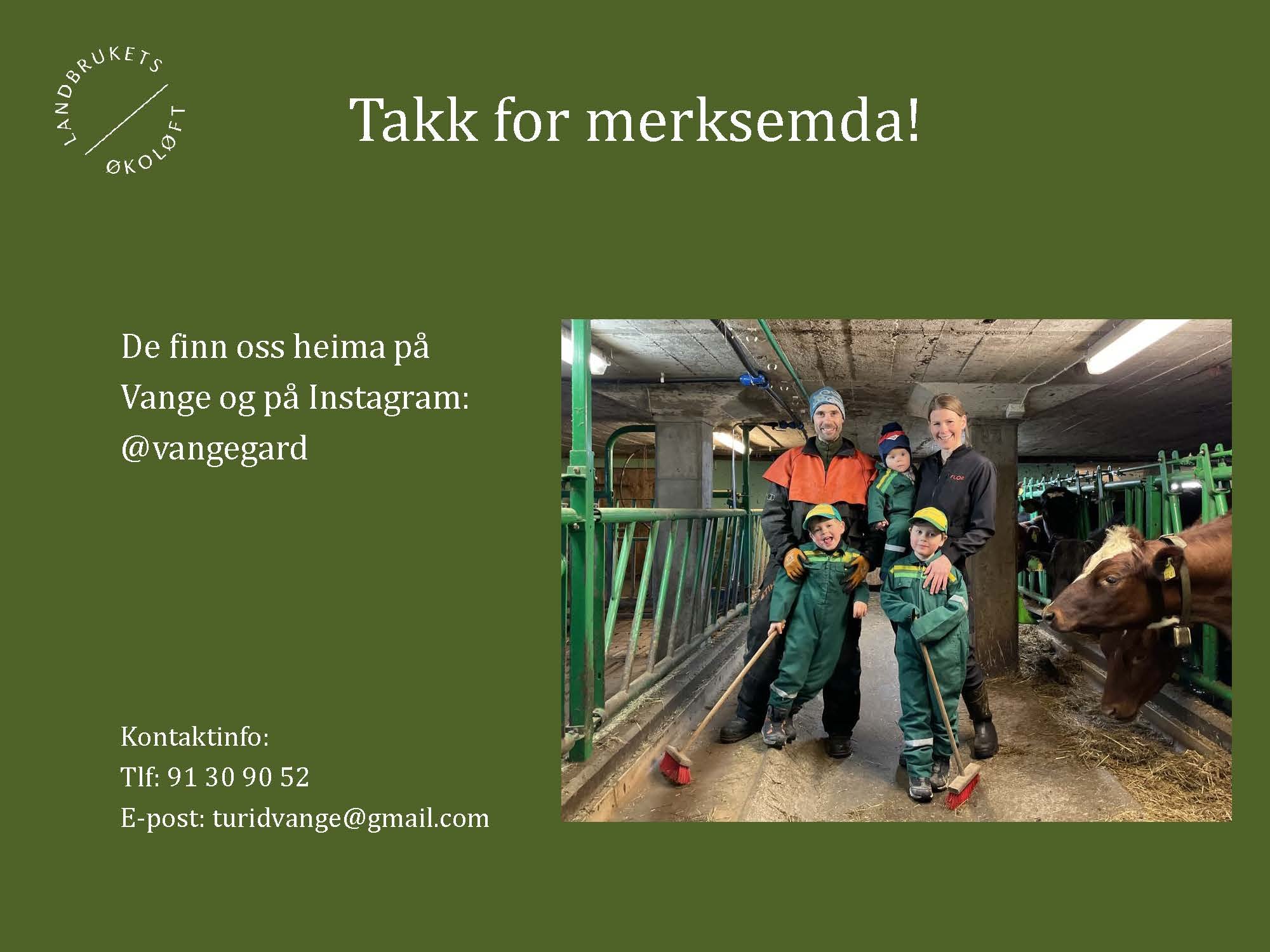 11.20 (2) Turid Vange Spydspiss_Side_15.jpg