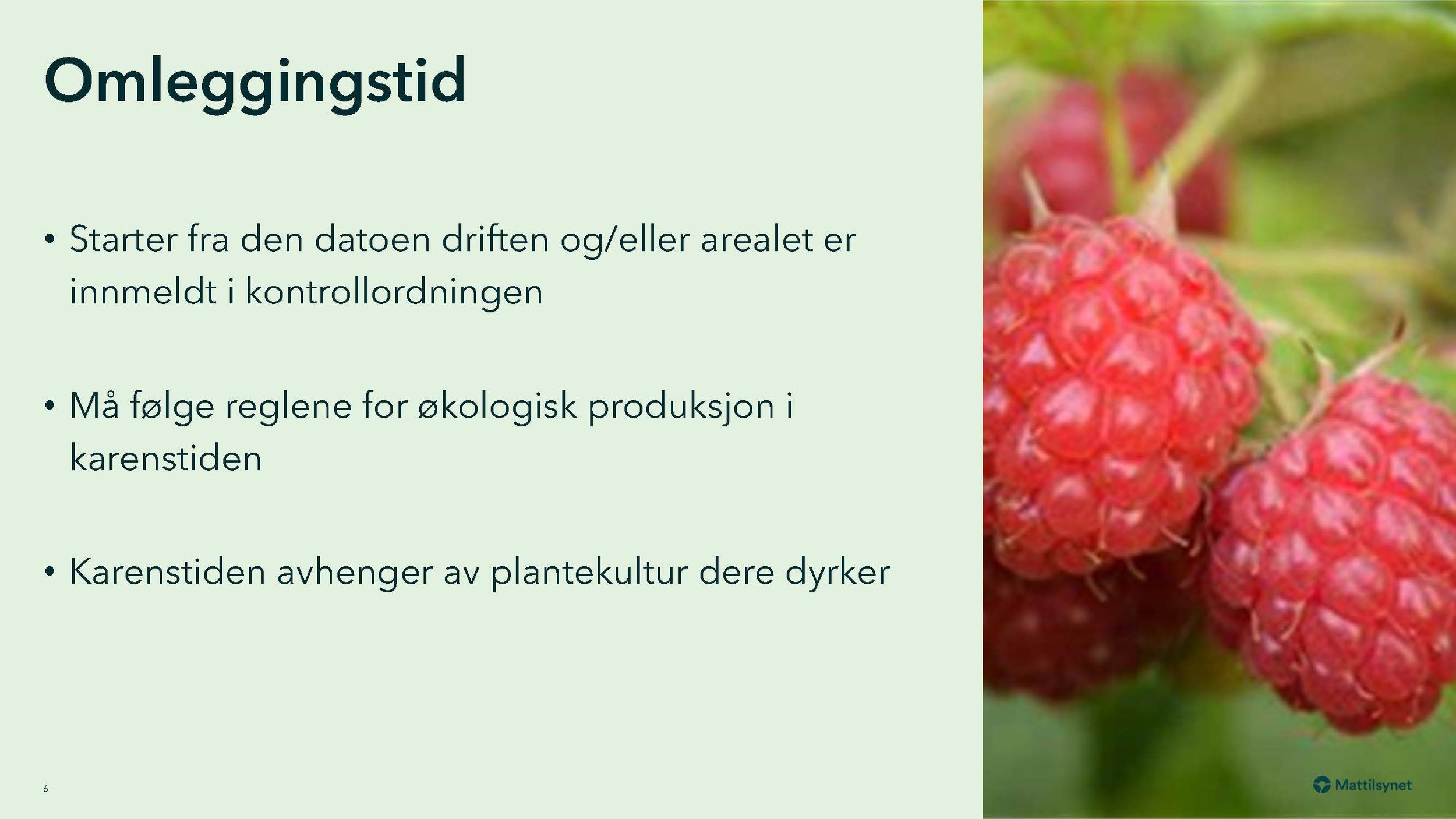 08 30 Regler for omlegging fra konv. til øko produksjon Mattilsynet,_Side_06.jpg