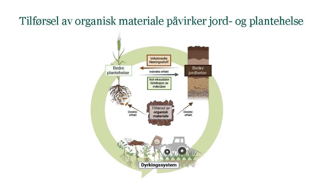 14 00  God jordhelse og plantehelse Heidi U Aamot Åkerbruk_Side_12.jpg