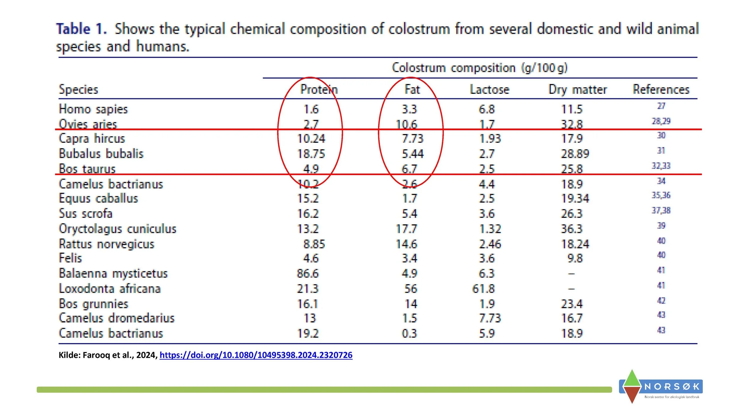 12.50 Berit Blomstrand_råmelkas betydning_Side_04.jpg