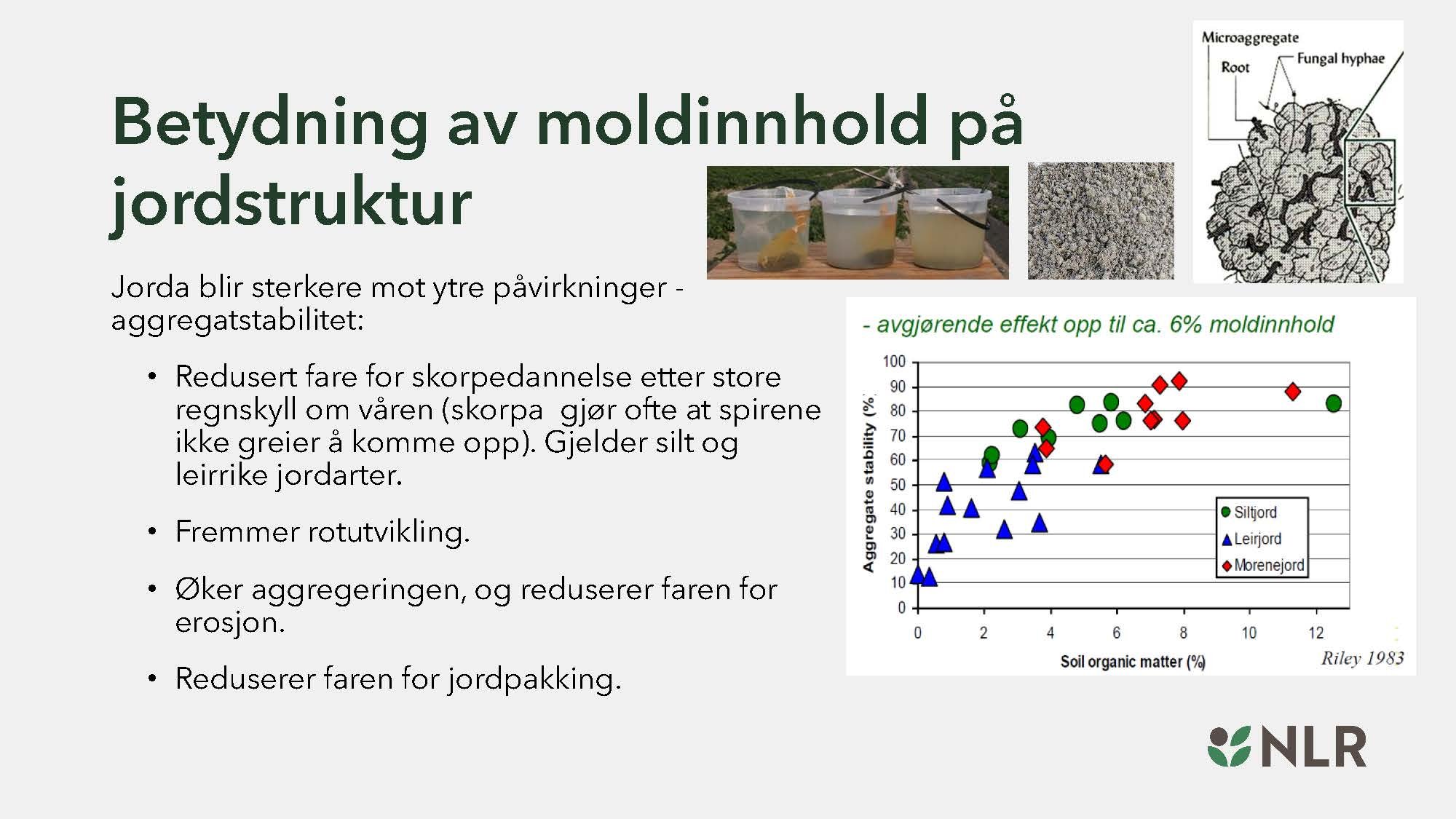 16.30 Den fantastiske enga! Kari Bysveen_Side_16.jpg