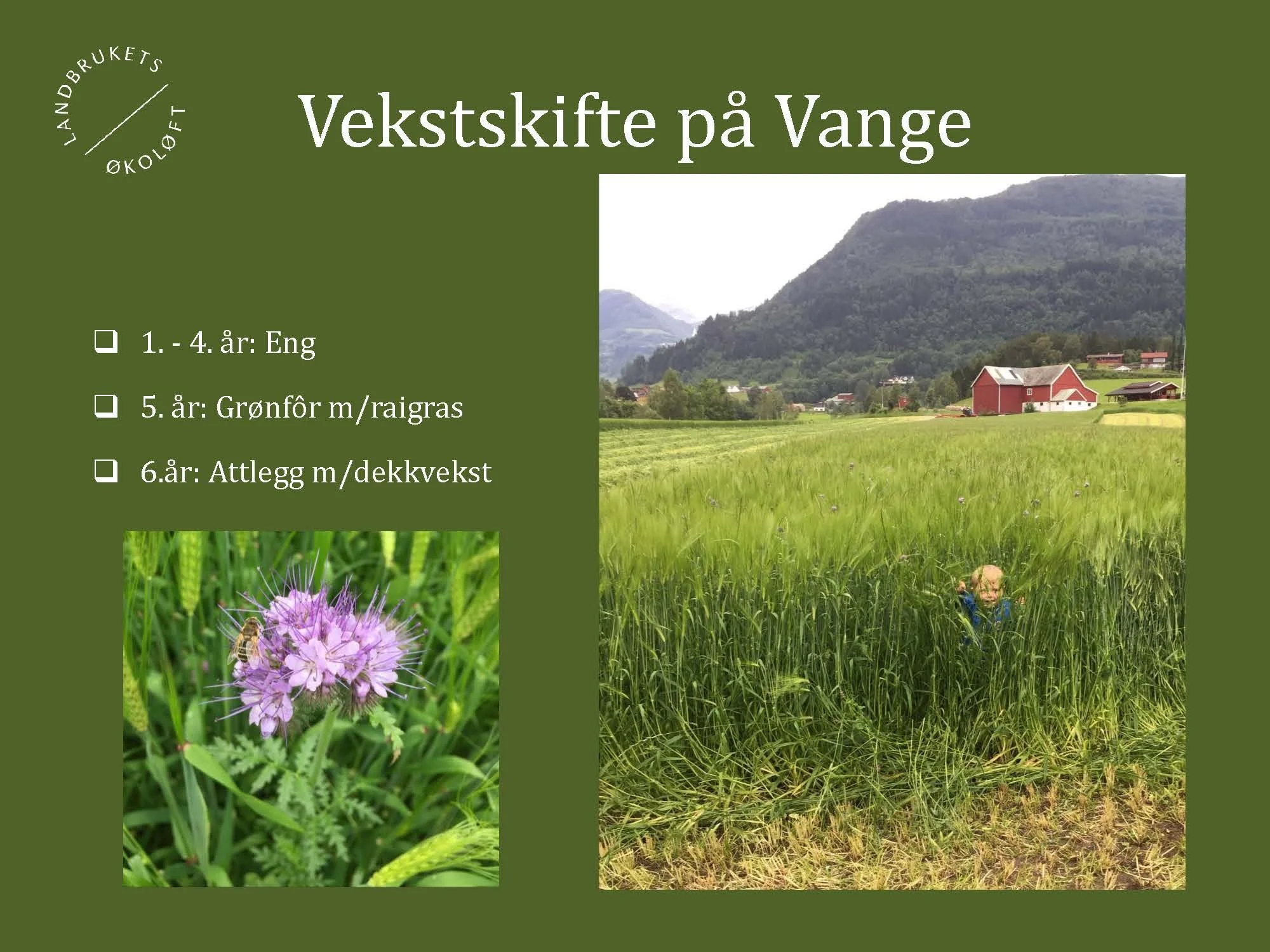 11.20 (2) Turid Vange Spydspiss_Side_04.jpg