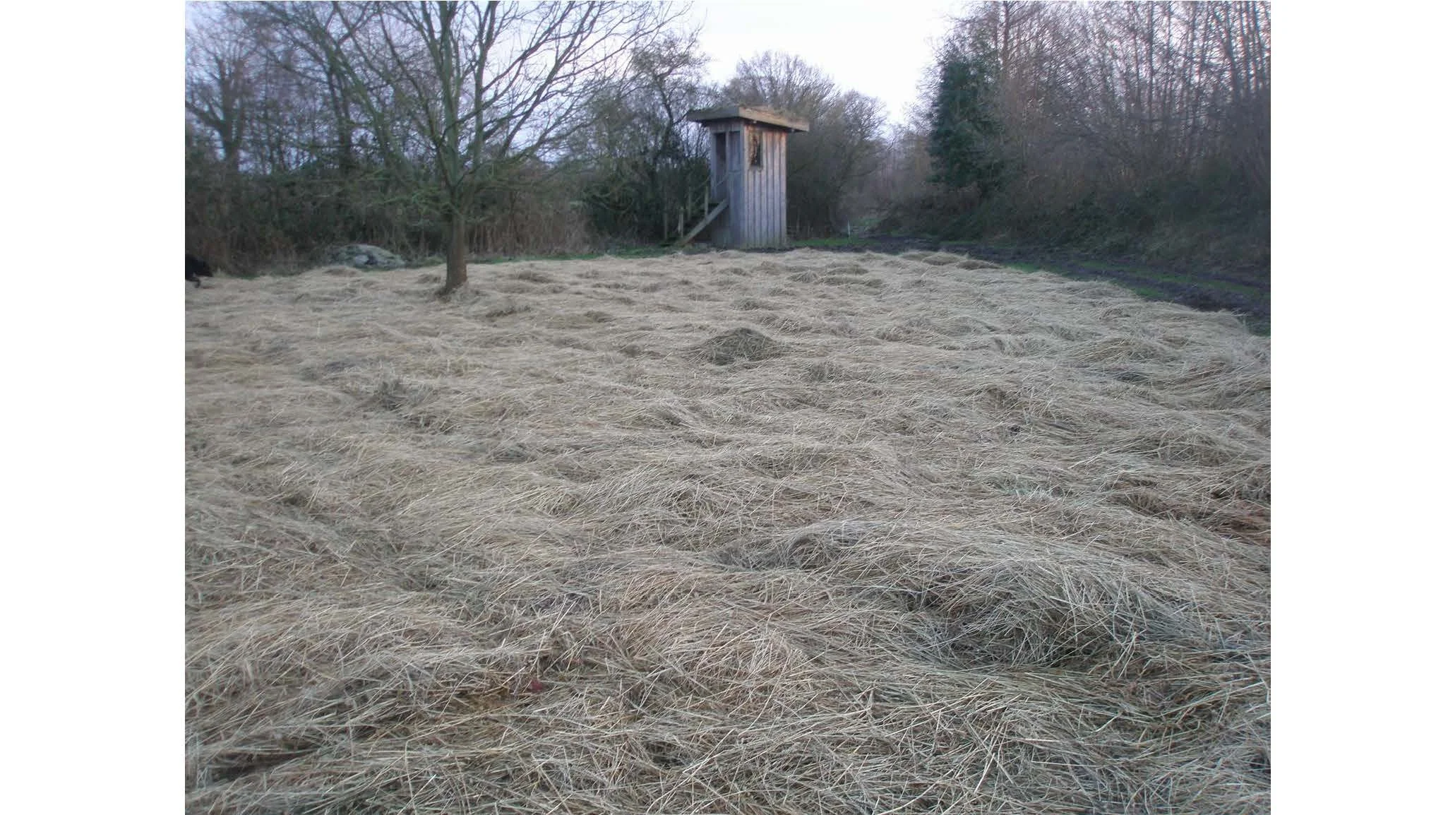 08 00 Dyrking av grønnsakser uten eksterne innsatsfaktorer Dieter Pansegrau_Side_28.jpg