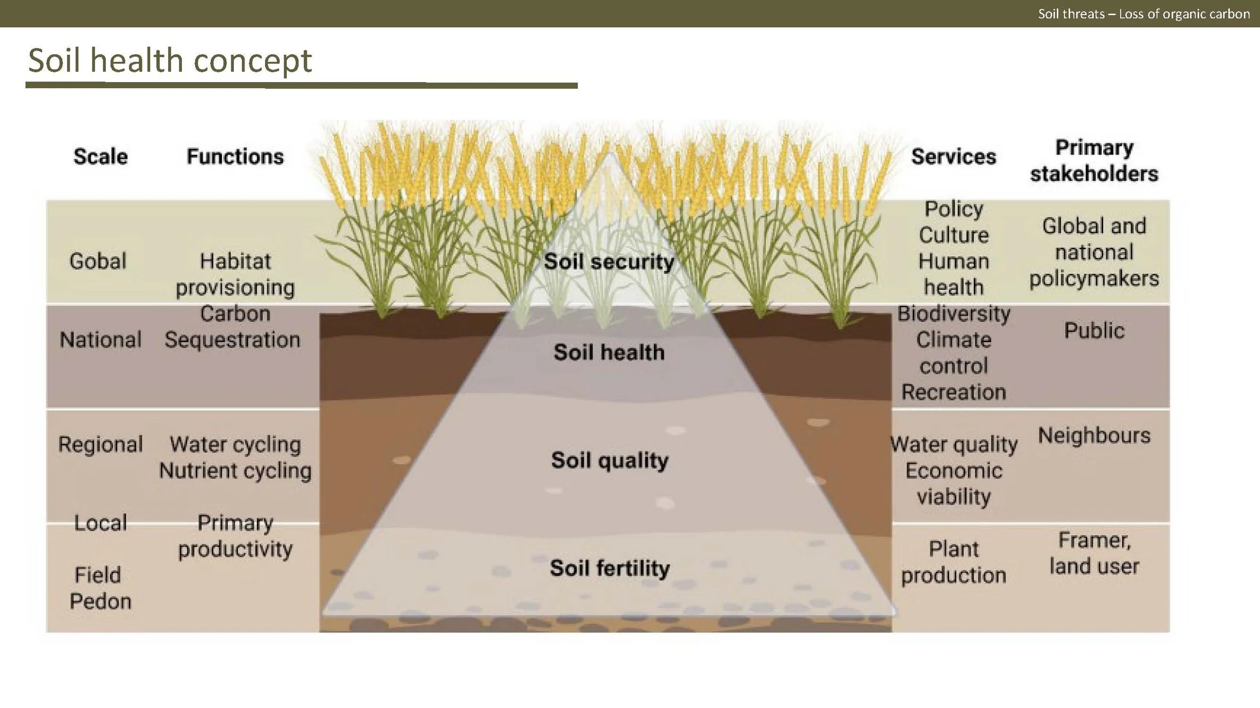 Norway presentation Final 1_Side_11.jpg
