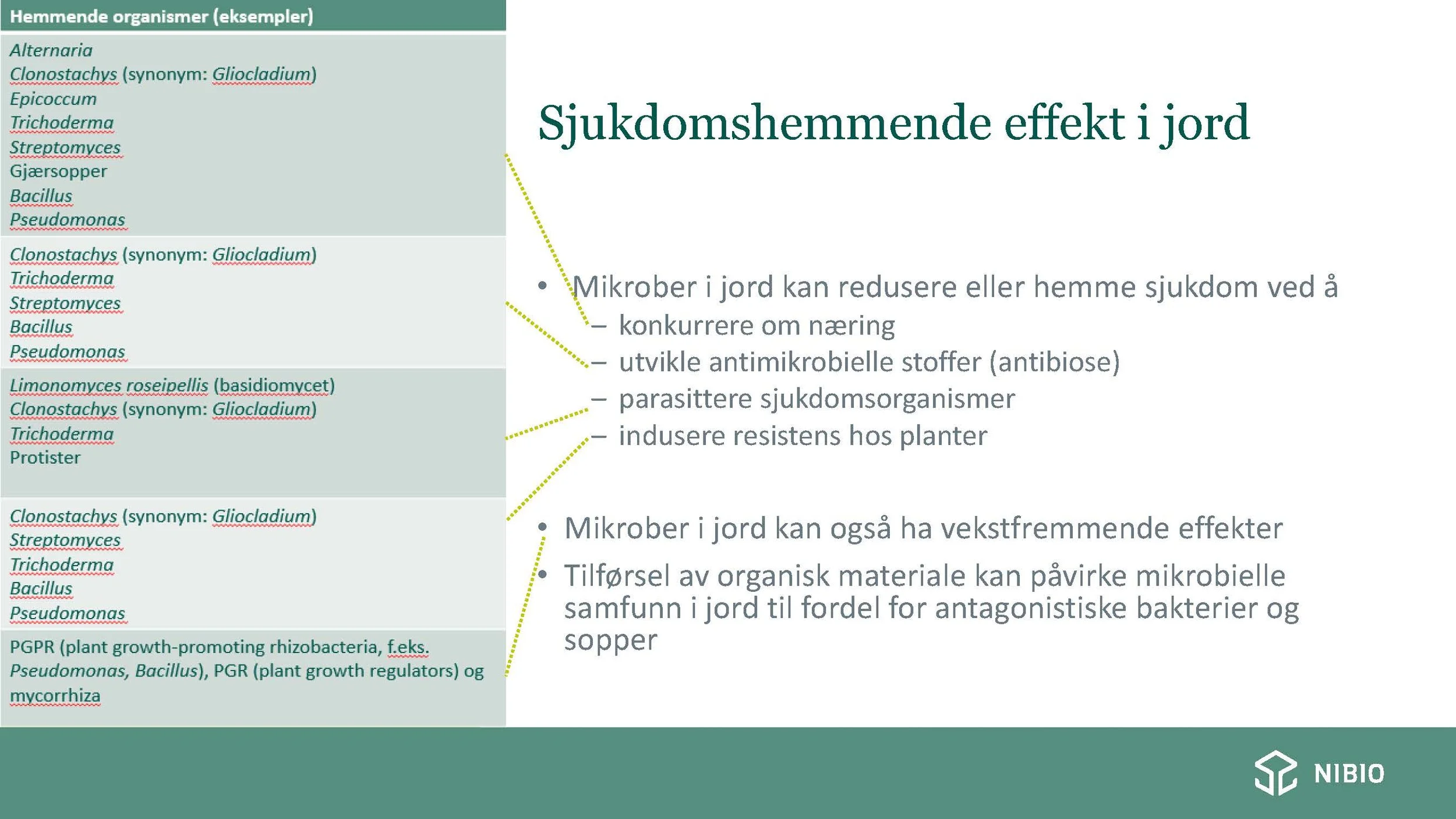 14 00  God jordhelse og plantehelse Heidi U Aamot Åkerbruk_Side_16.jpg