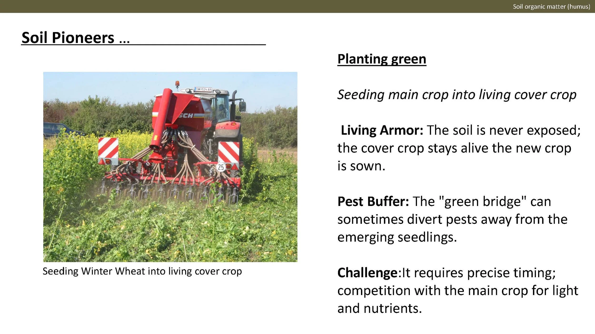 Norway presentation Final 1_Side_46.jpg