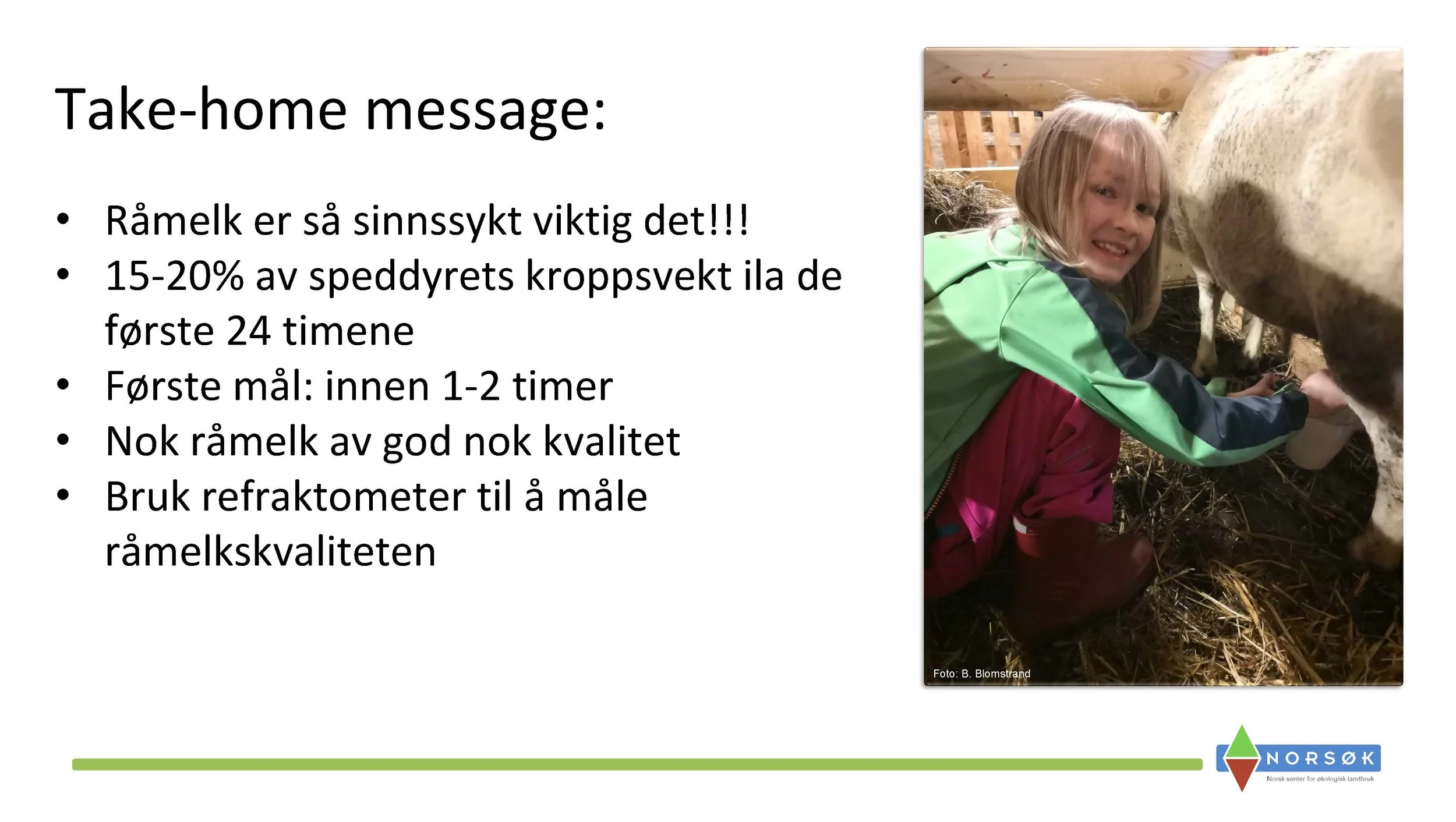 12.50 Berit Blomstrand_råmelkas betydning_Side_12.jpg