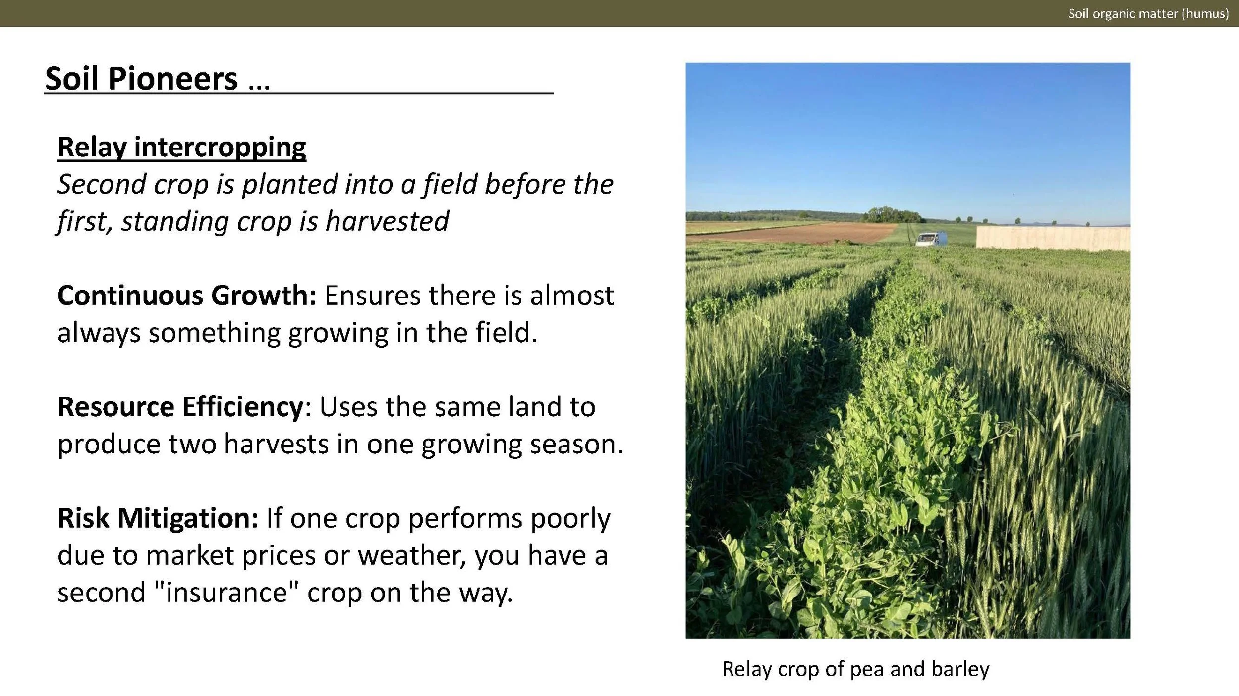 Norway presentation Final 1_Side_47.jpg