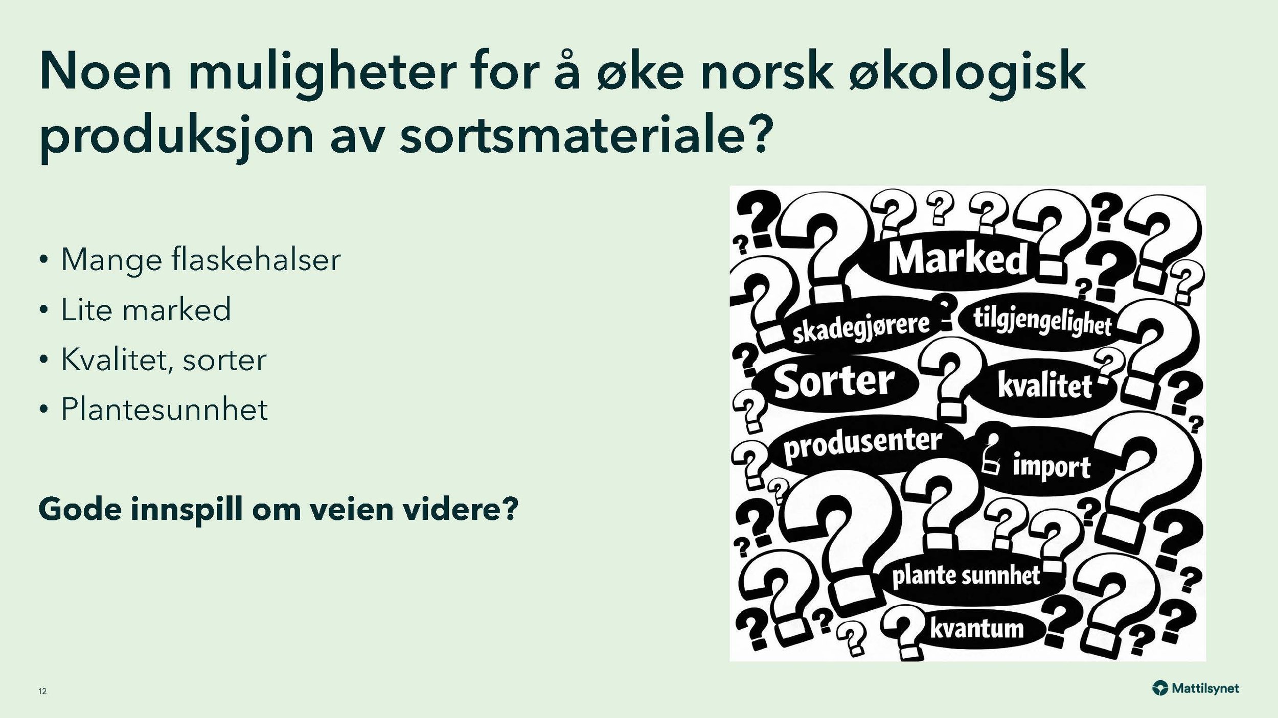 Monica 2_Side_12.jpg