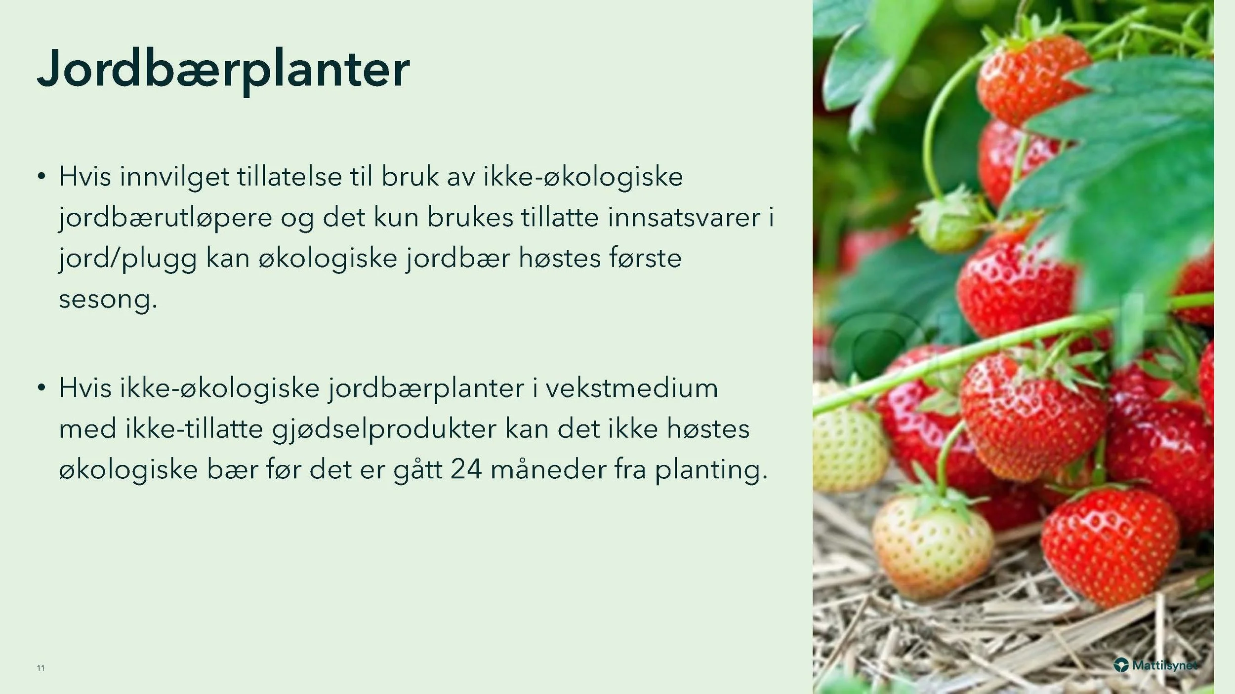 Monica 2_Side_11.jpg