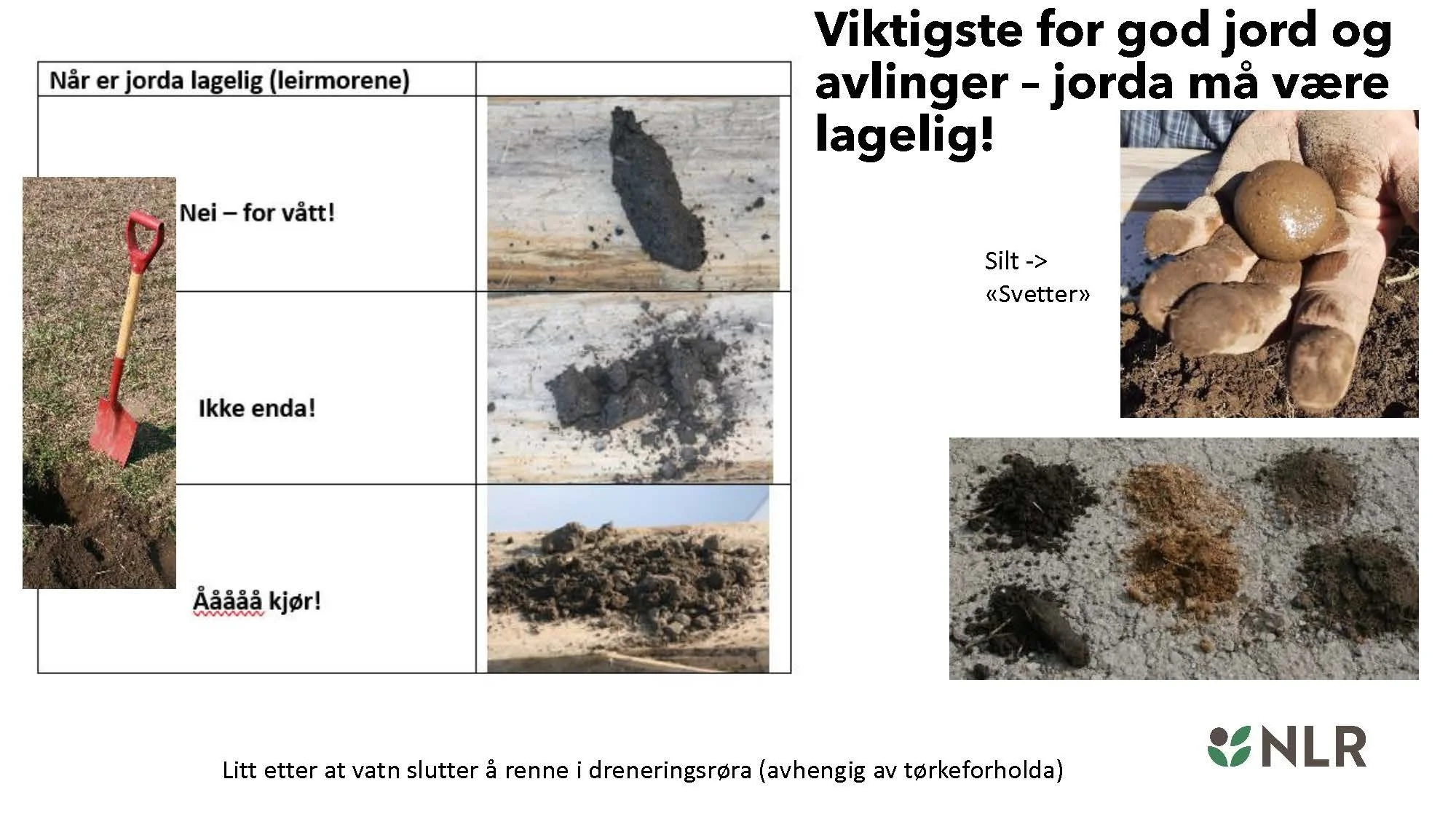 16.30 Den fantastiske enga! Kari Bysveen_Side_30.jpg