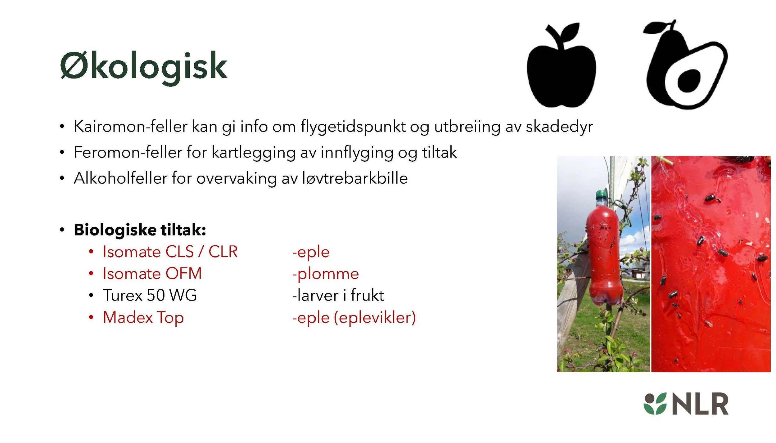 11 00 Bruk av biologiske tiltak og turex for best mulig effekt Gaute Myren NLR_Side_02.jpg