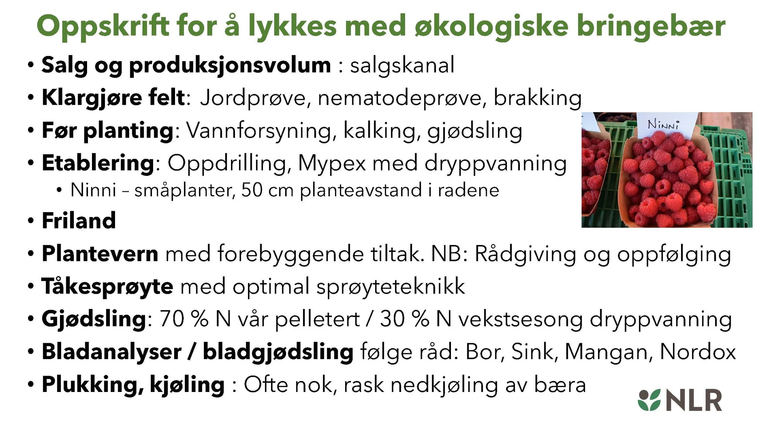Bringebær_Side_19.jpg