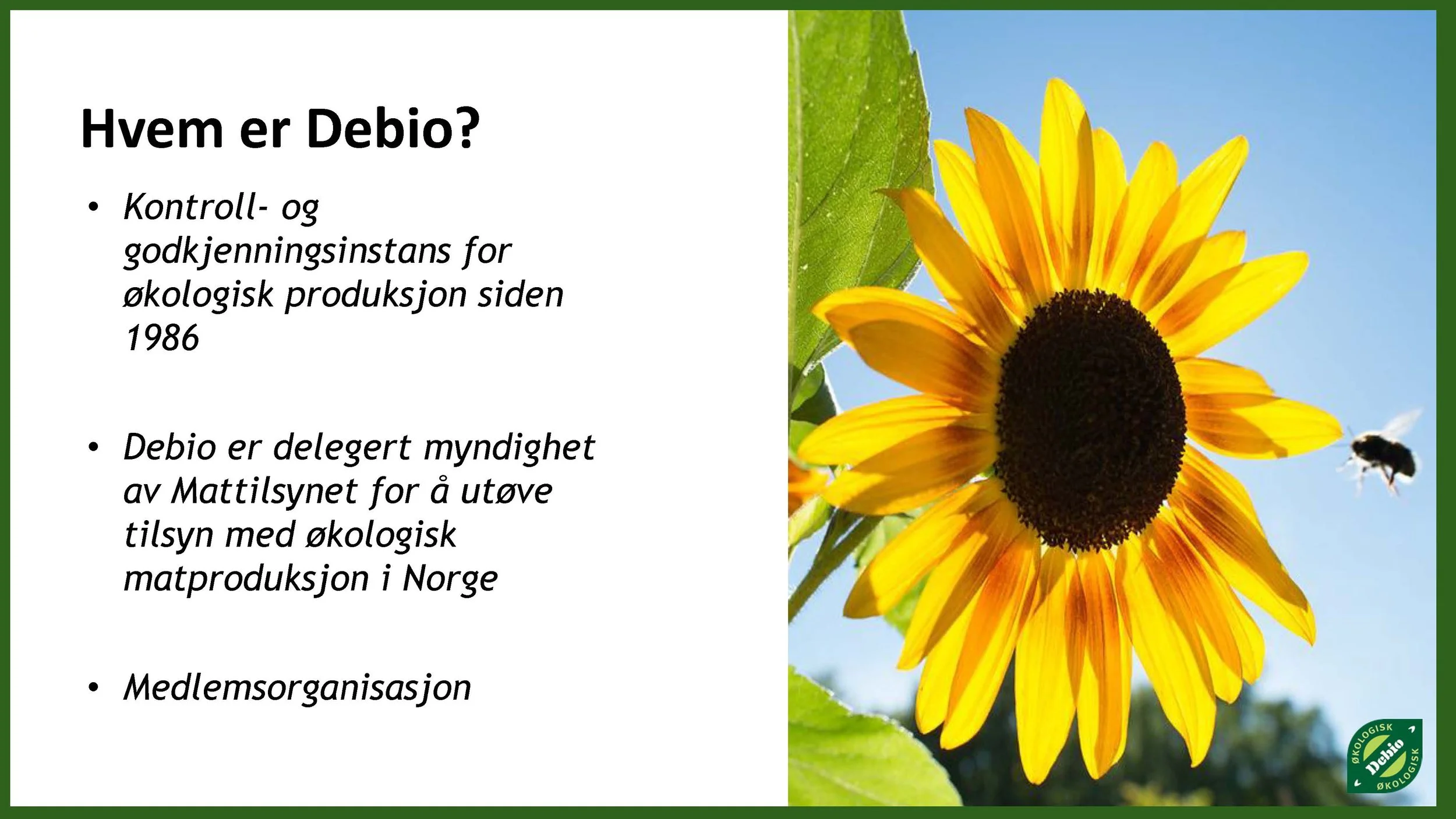 09 00 Utfordringer som observeres ved tilsyn 09.00_Side_02.jpg