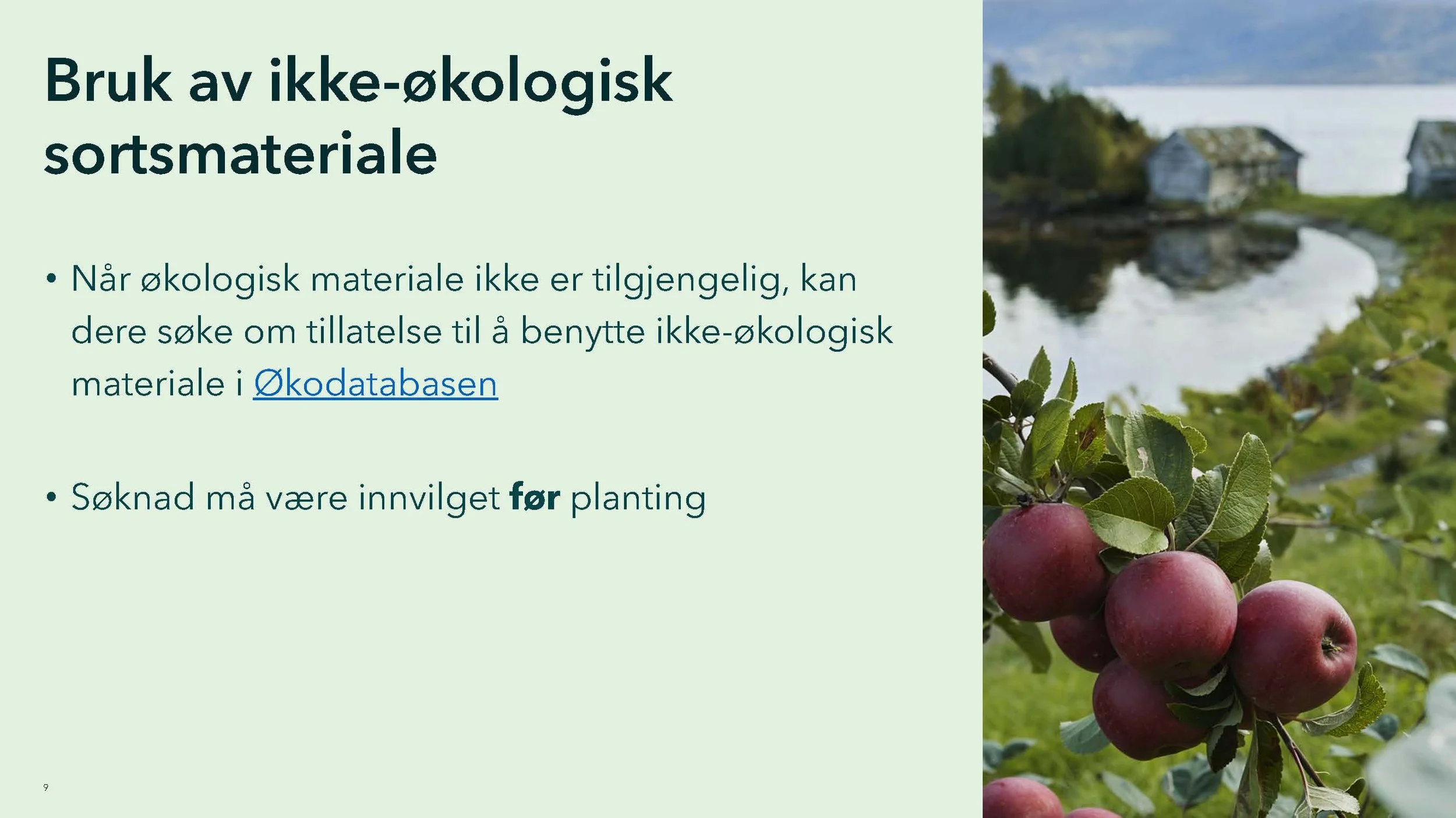 Monica 2_Side_09.jpg