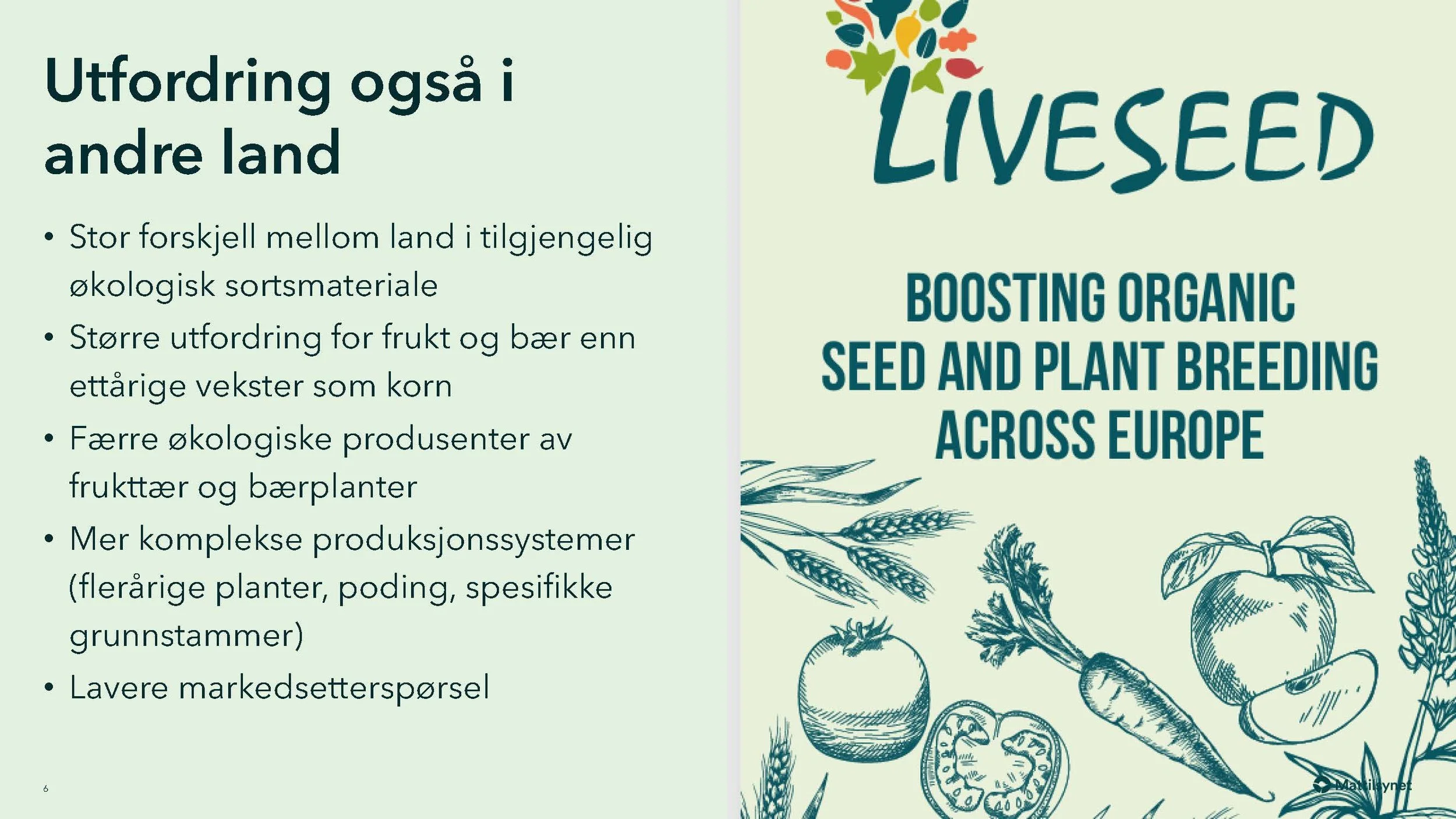 Monica 2_Side_06.jpg