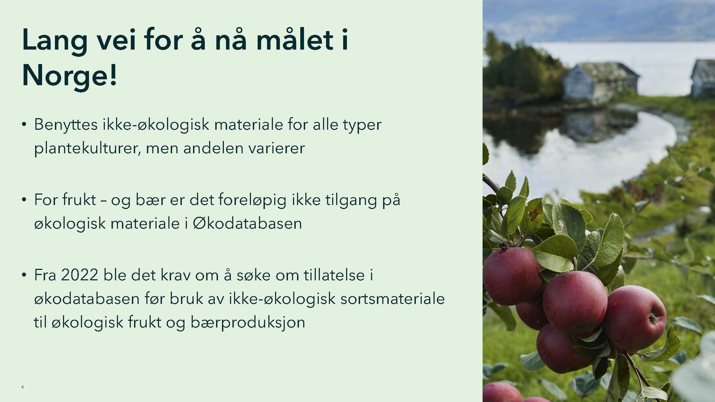 Monica 2_Side_04.jpg