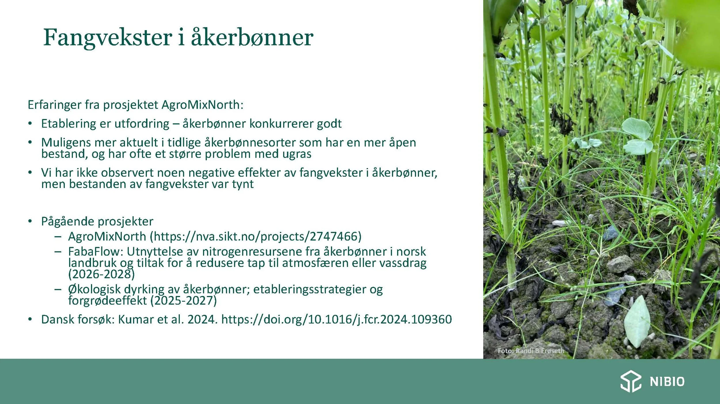 12 30 Åkerbruk Nitrogendynamikk Randi Berland_Side_21.jpg